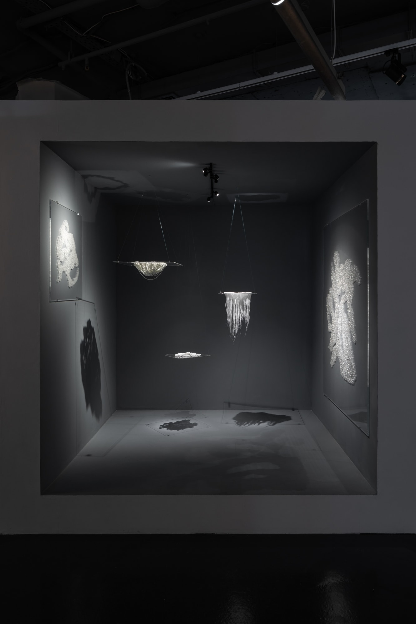 In the Landscape's Shadow