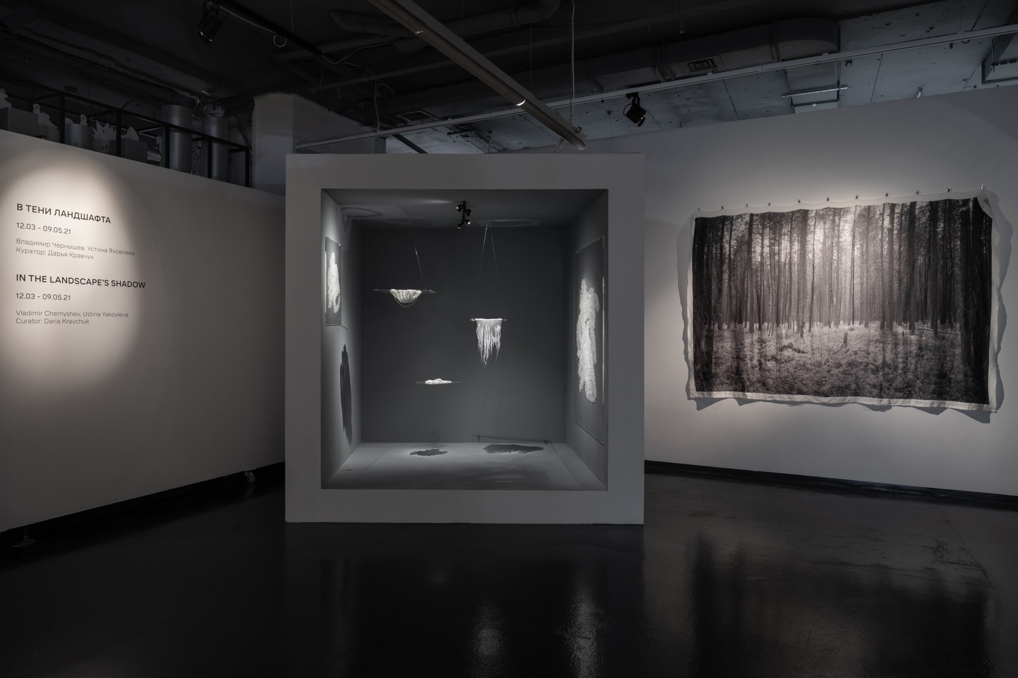 In the Landscape's Shadow