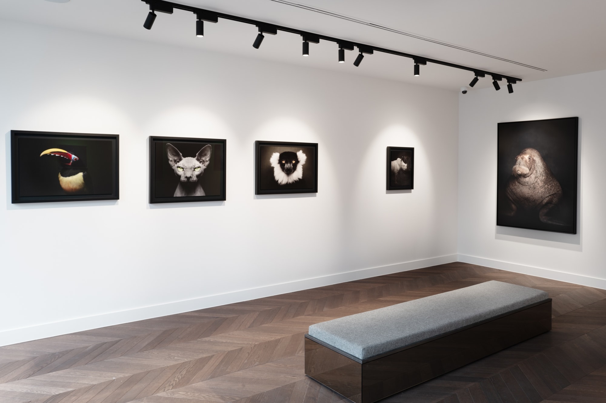 Book exhibition - Between Us