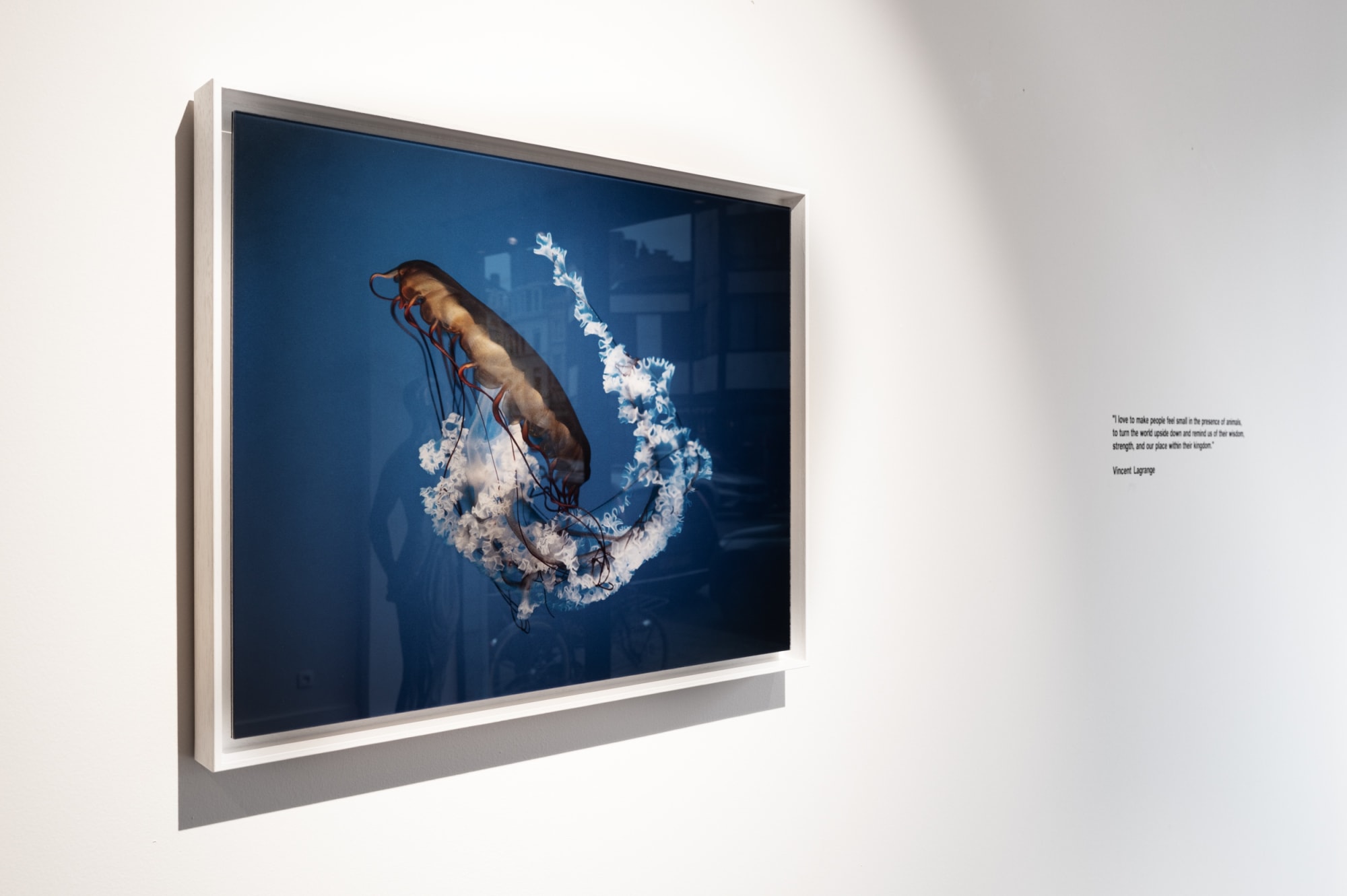 Book exhibition - Between Us