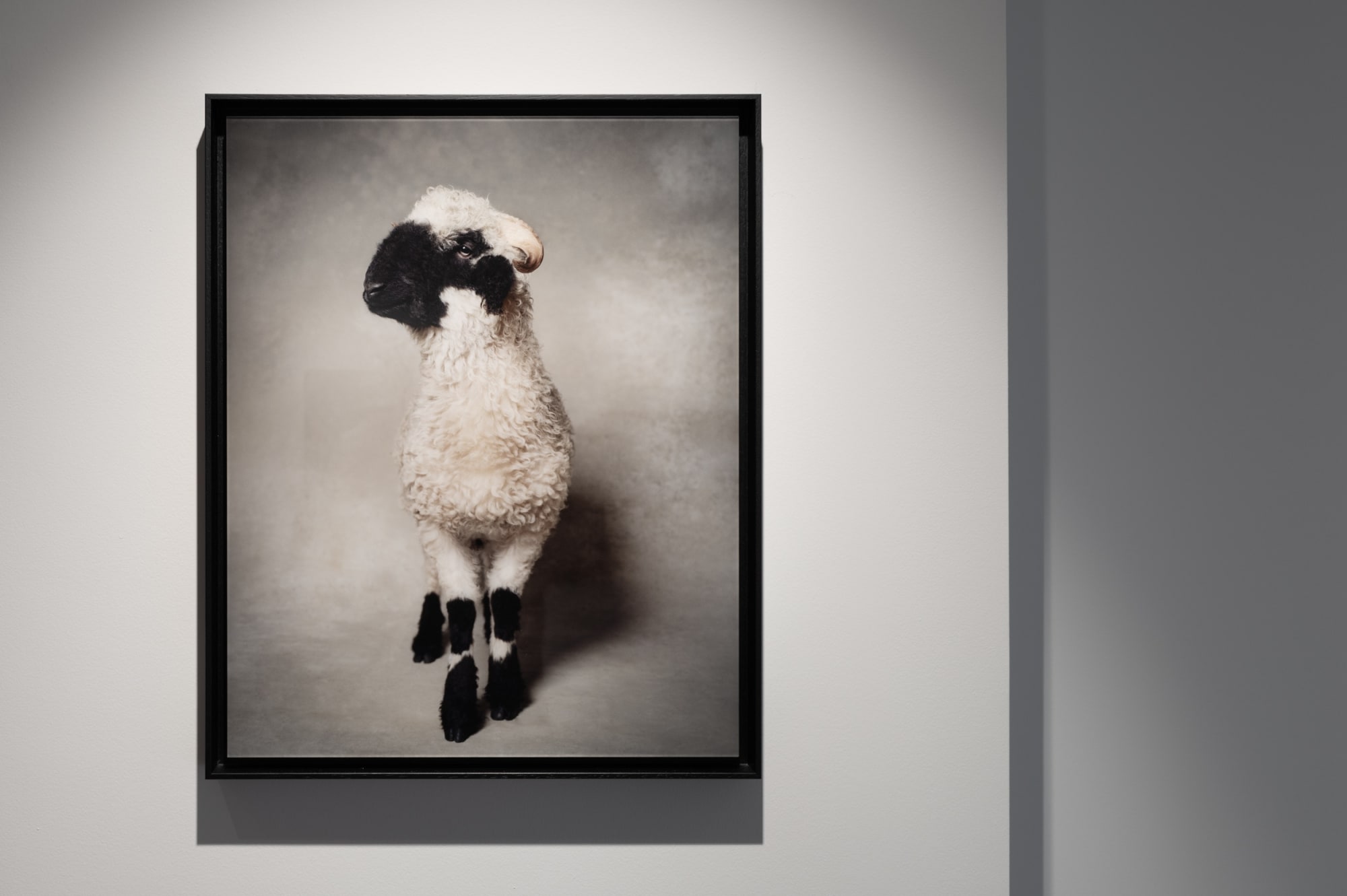 Book exhibition - Between Us