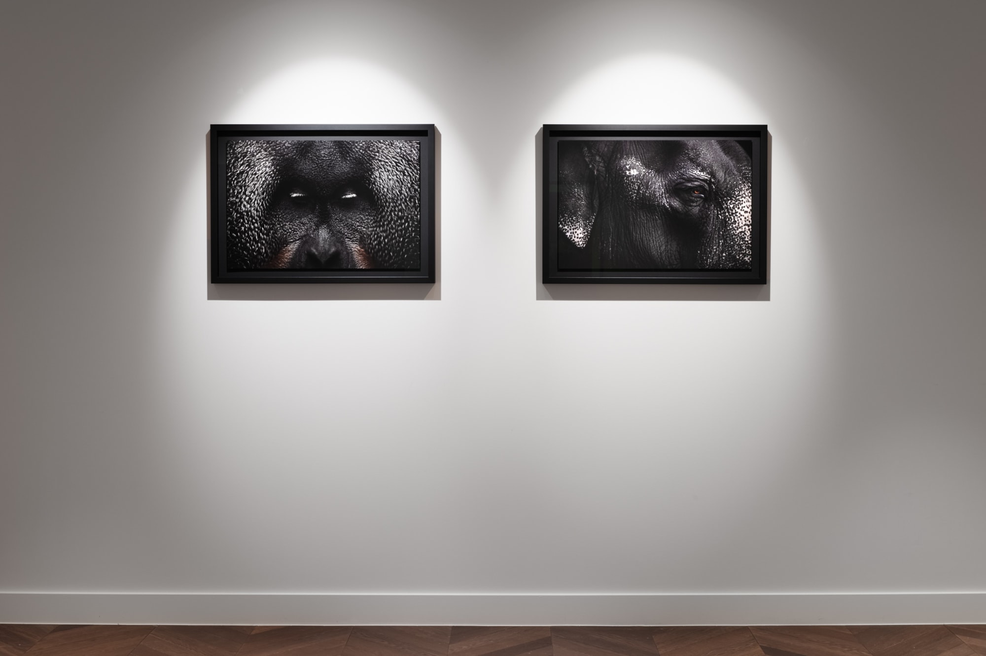 Book exhibition - Between Us