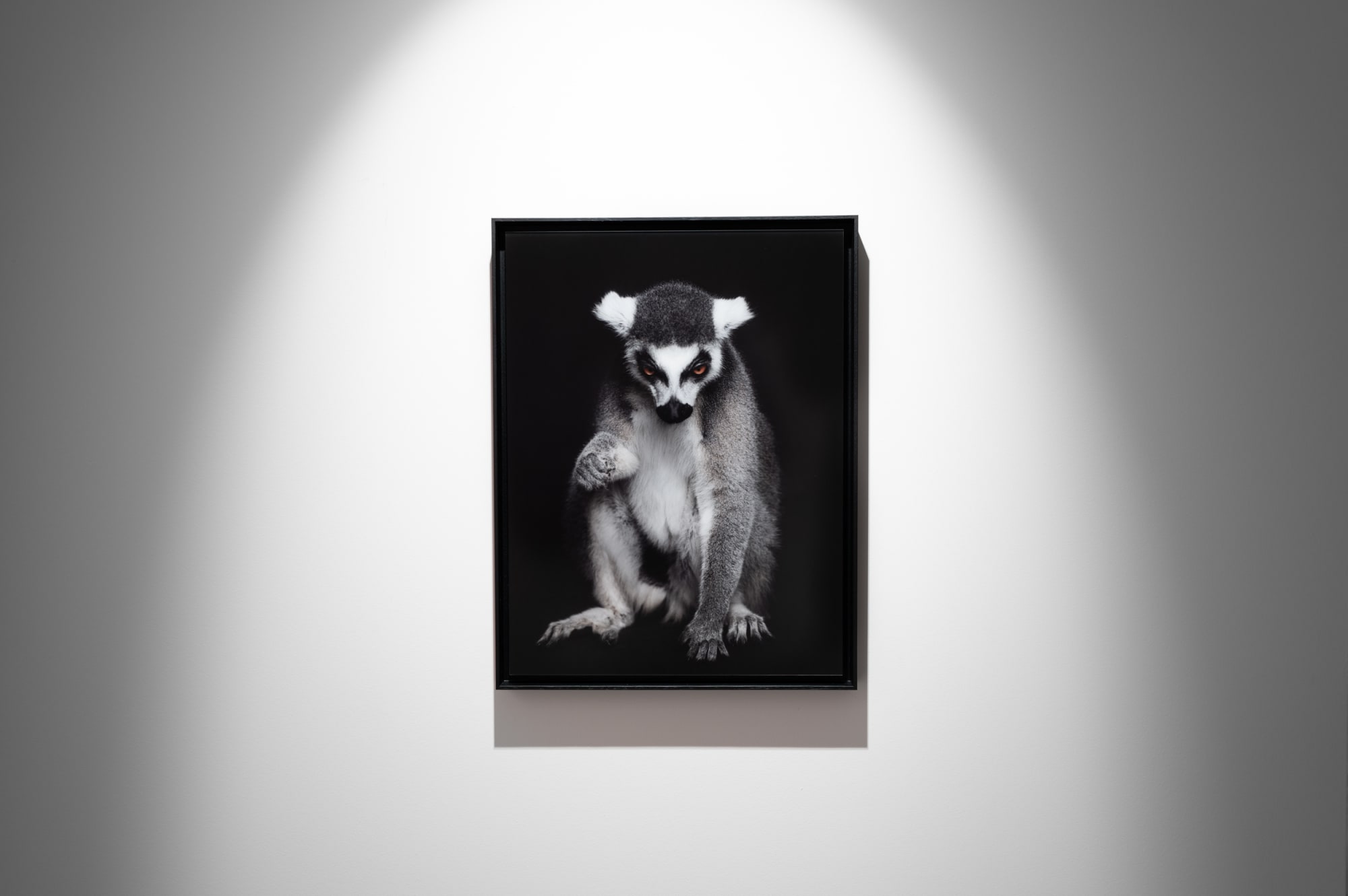 Book exhibition - Between Us