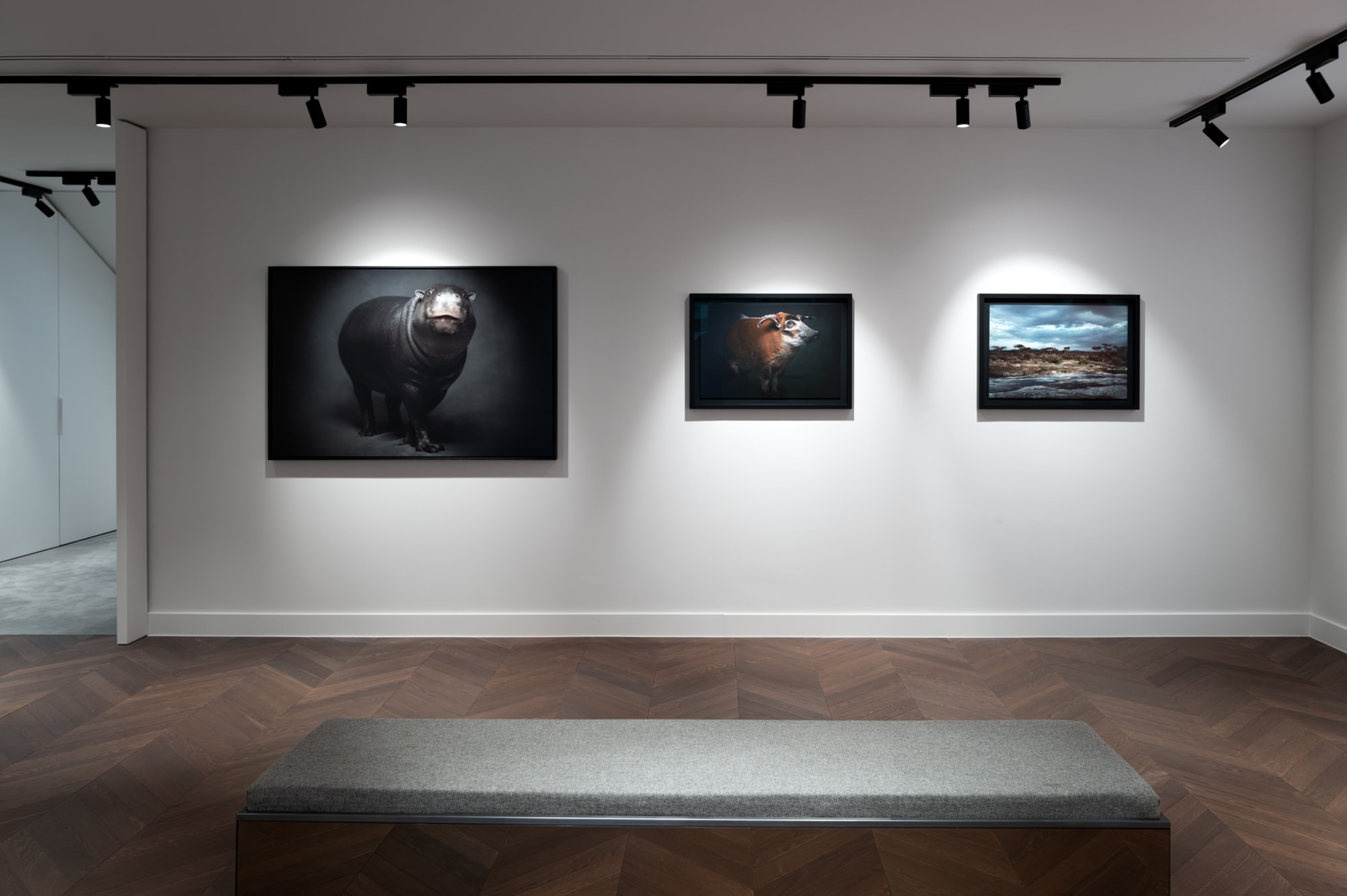 Book exhibition - Between Us