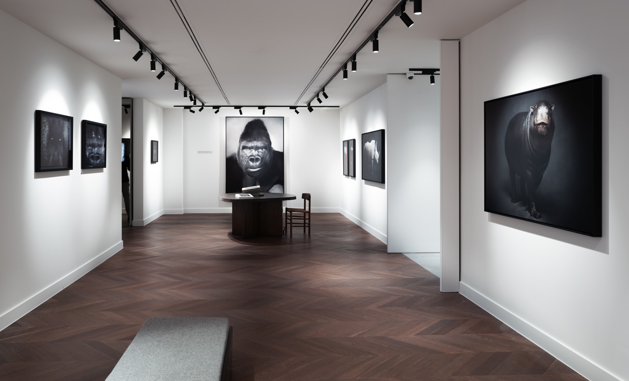 Book exhibition - Between Us