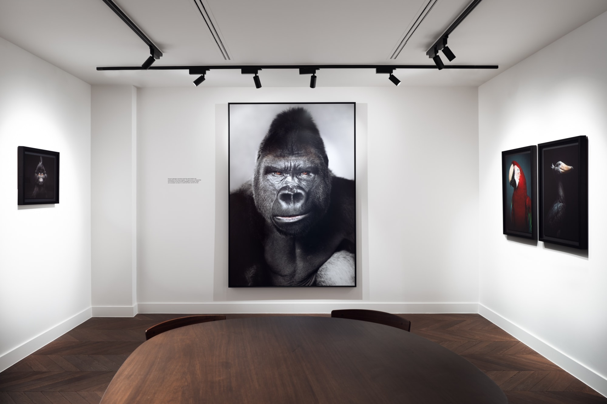 Book exhibition - Between Us