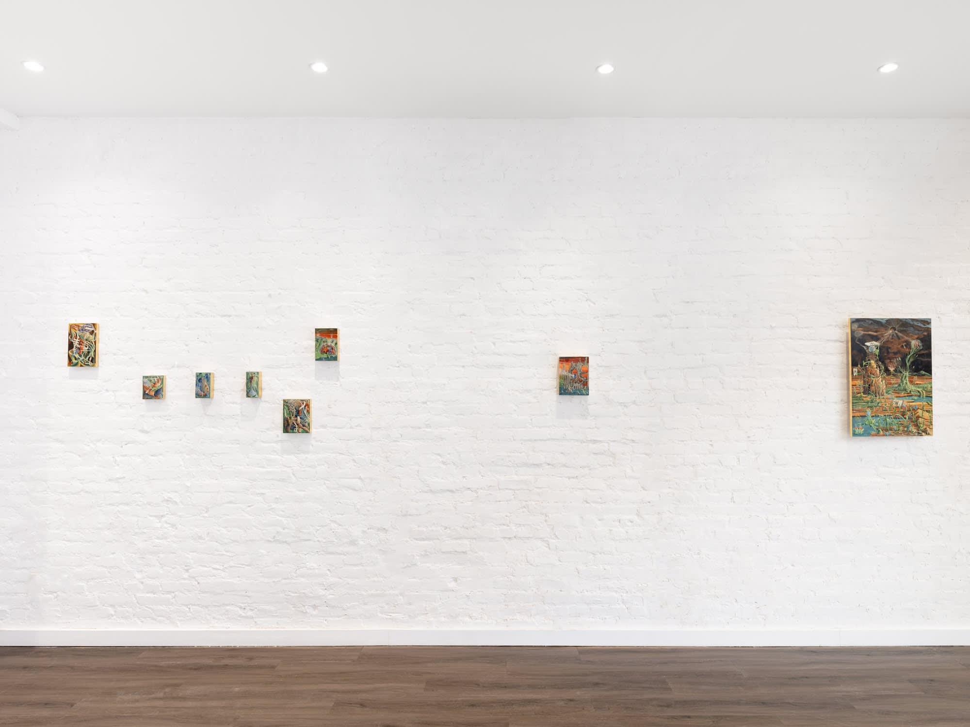 Tomasz Kulka, Loża, 2024. Installation View. Courtesy of Nguyen Wahed and the artist.