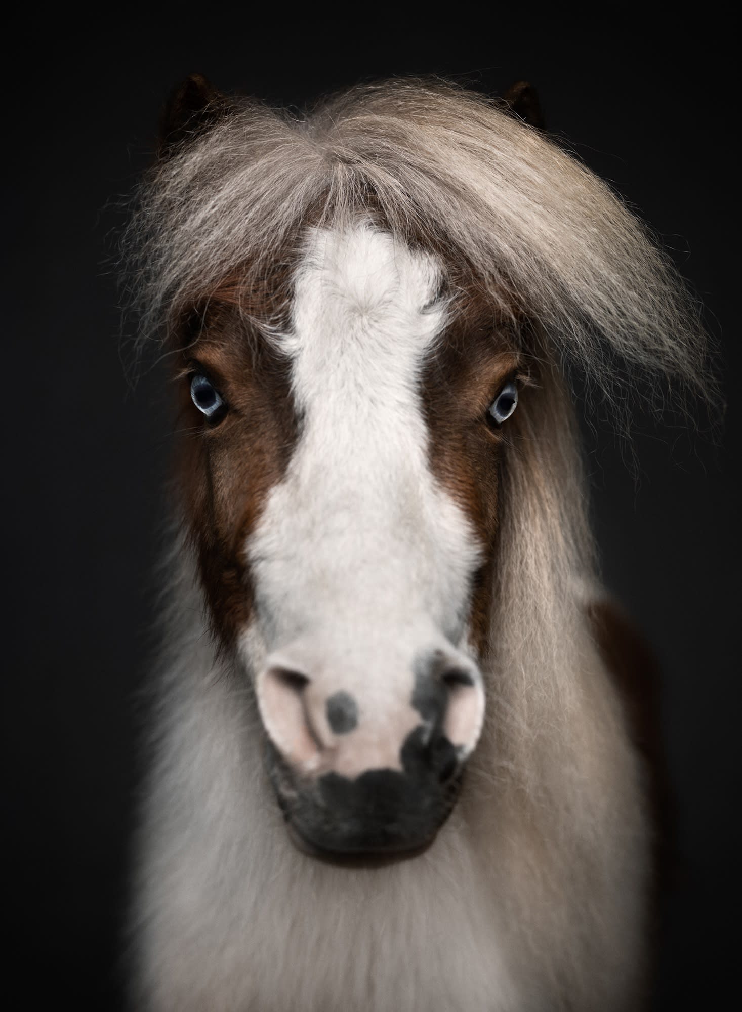 BETWEEN US: VINCENT LAGRANGE