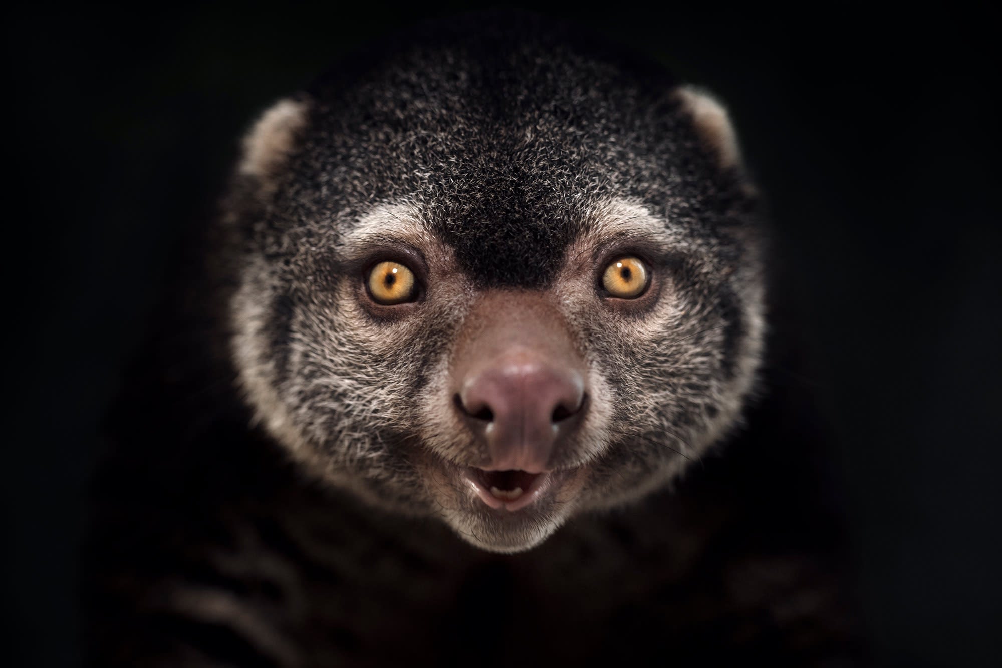 BETWEEN US: VINCENT LAGRANGE