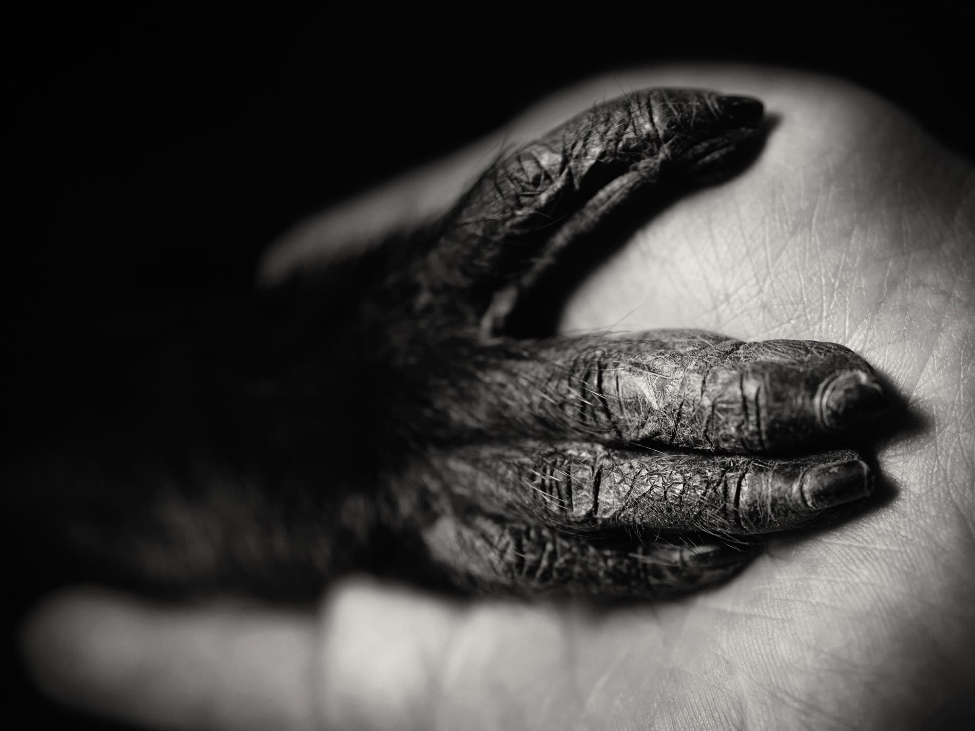 BETWEEN US: VINCENT LAGRANGE