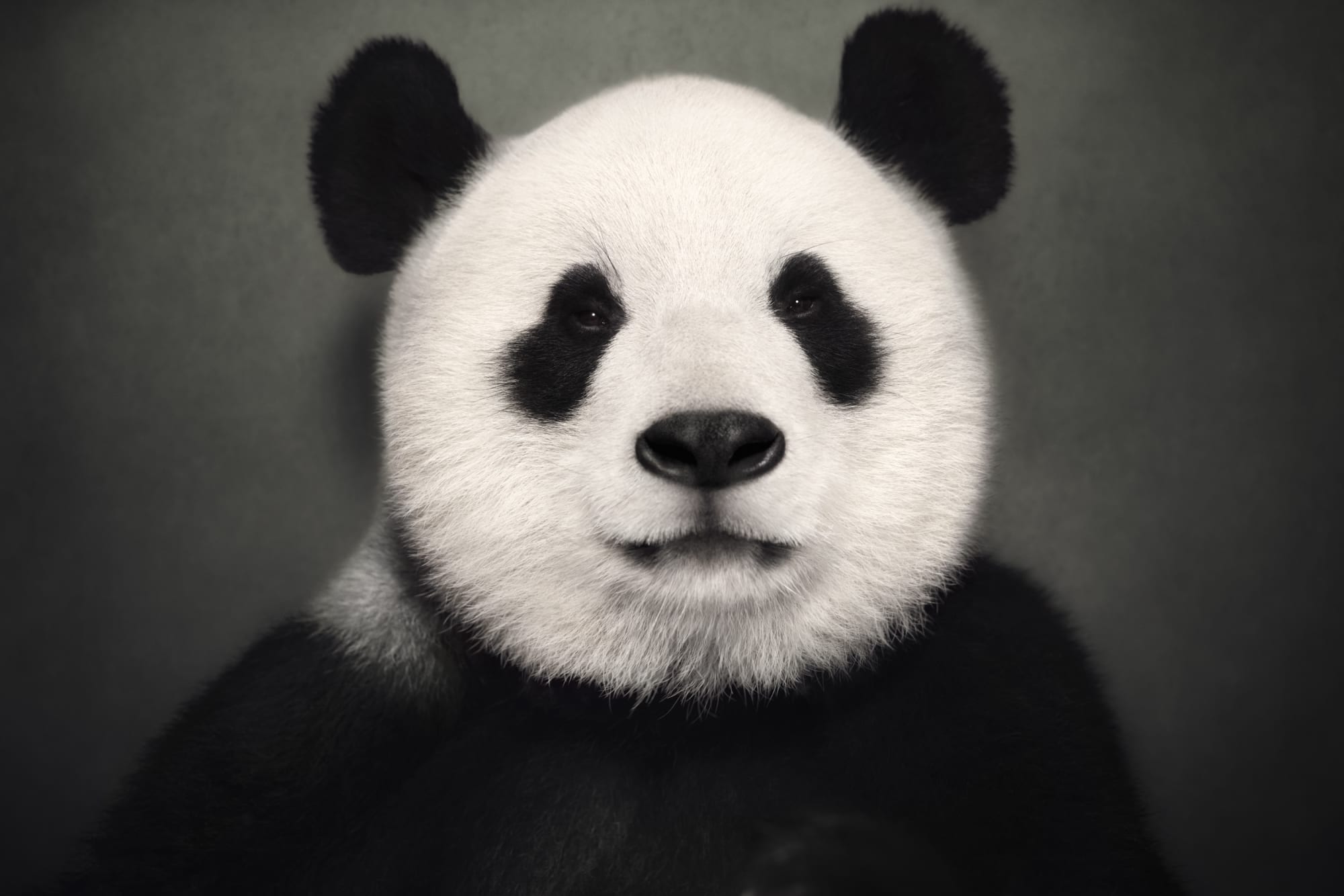 BETWEEN US: VINCENT LAGRANGE