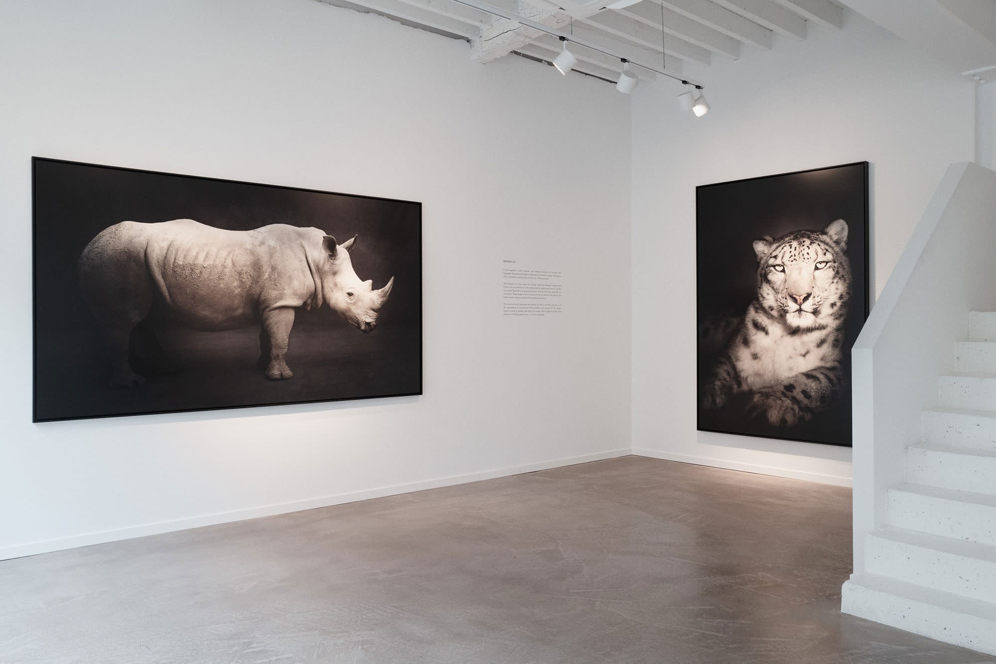 BETWEEN US: VINCENT LAGRANGE