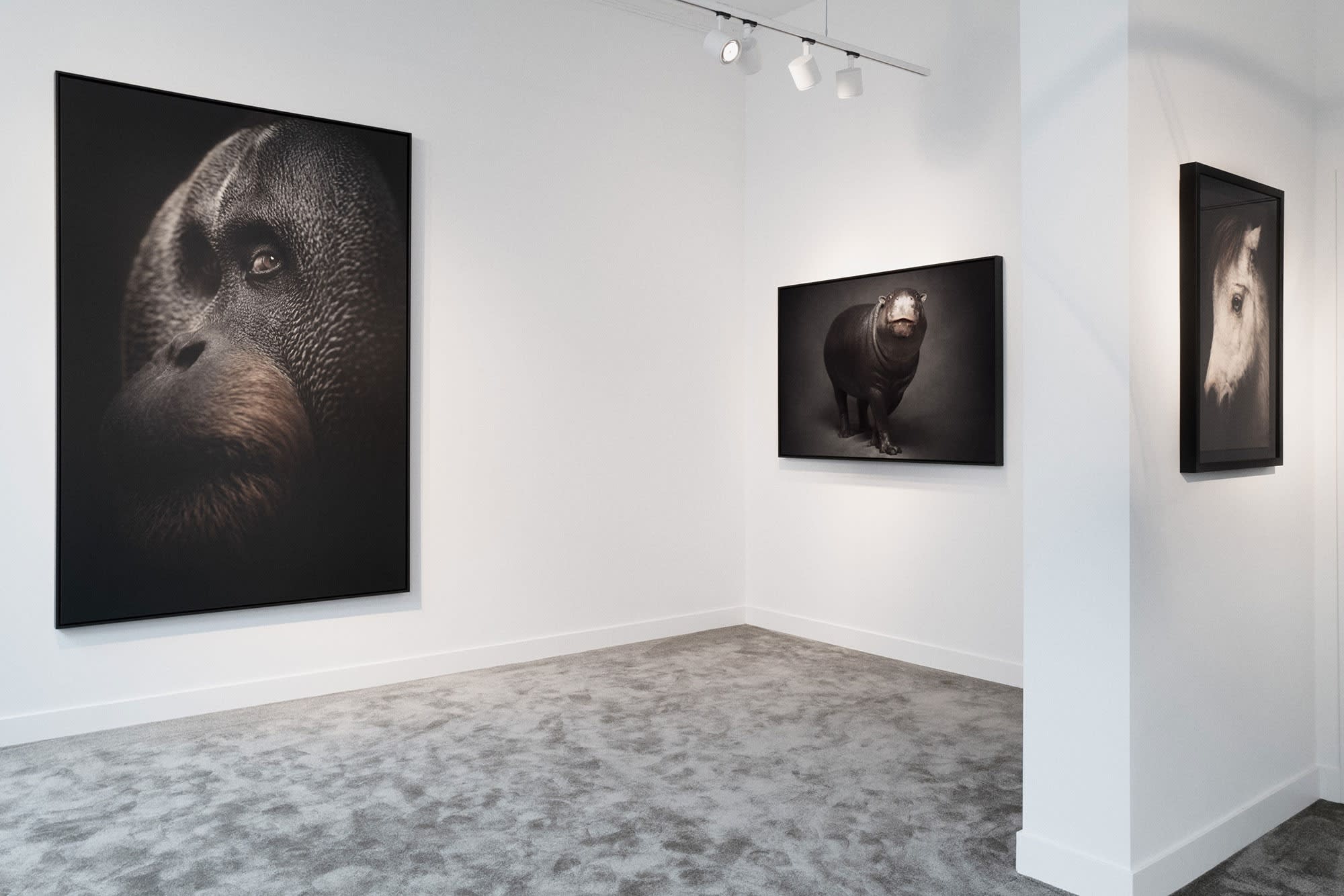 BETWEEN US: VINCENT LAGRANGE