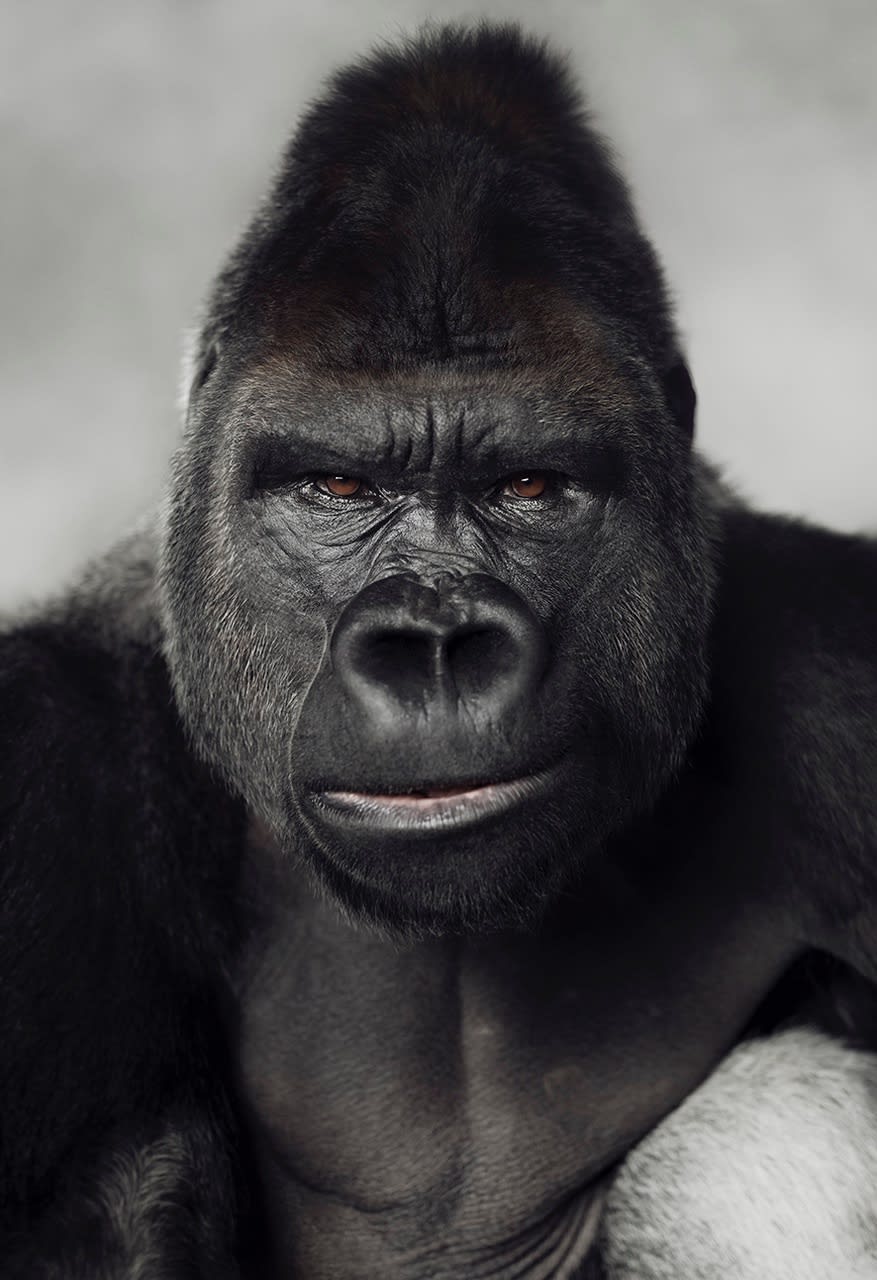 BETWEEN US: VINCENT LAGRANGE