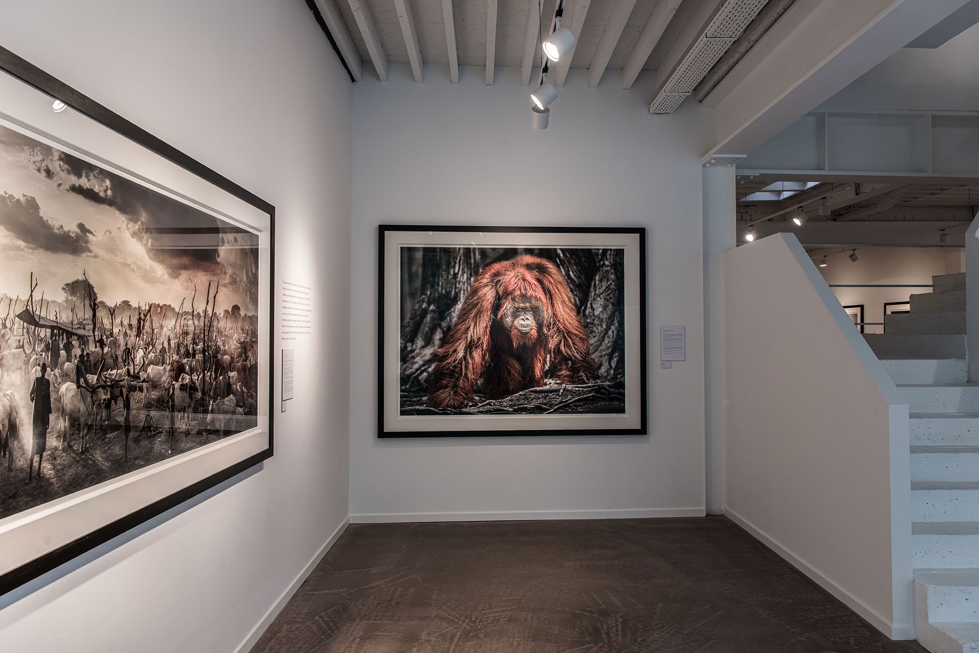 DAVID YARROW: STORYTELLING