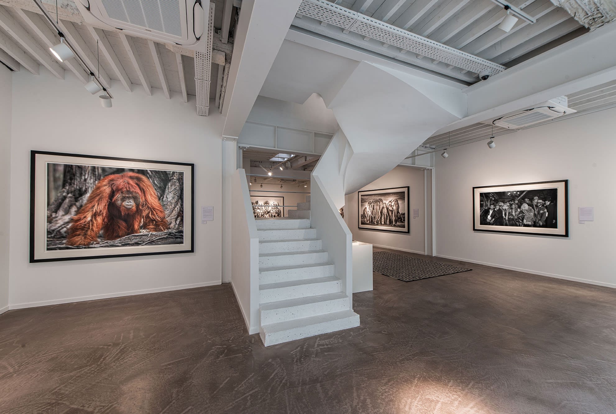 DAVID YARROW: STORYTELLING