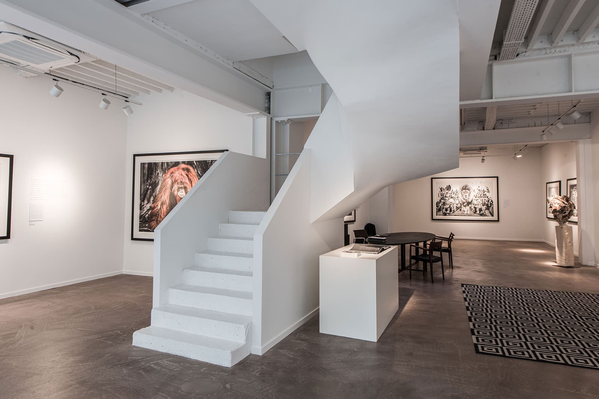 DAVID YARROW: STORYTELLING