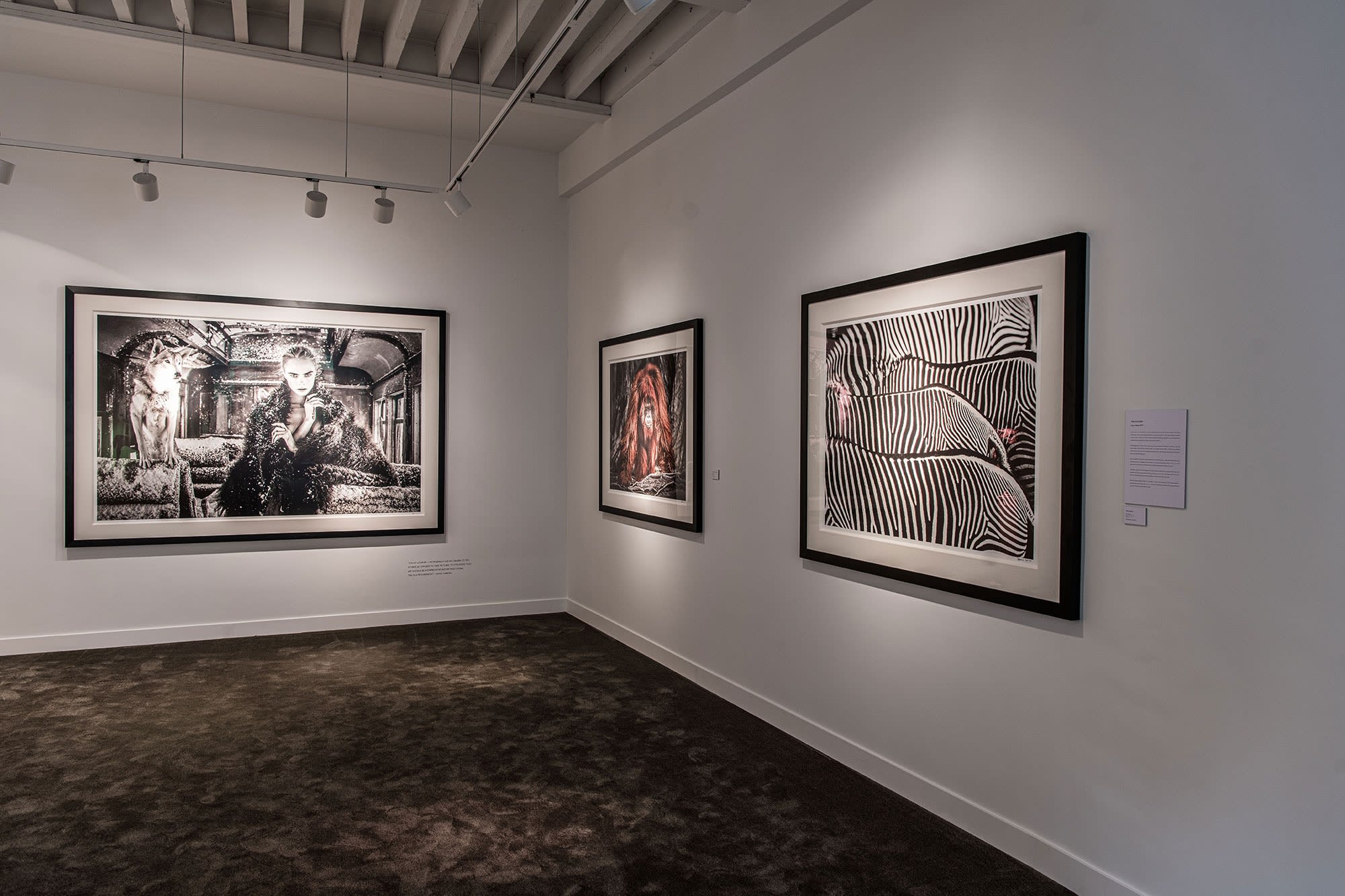 DAVID YARROW: STORYTELLING