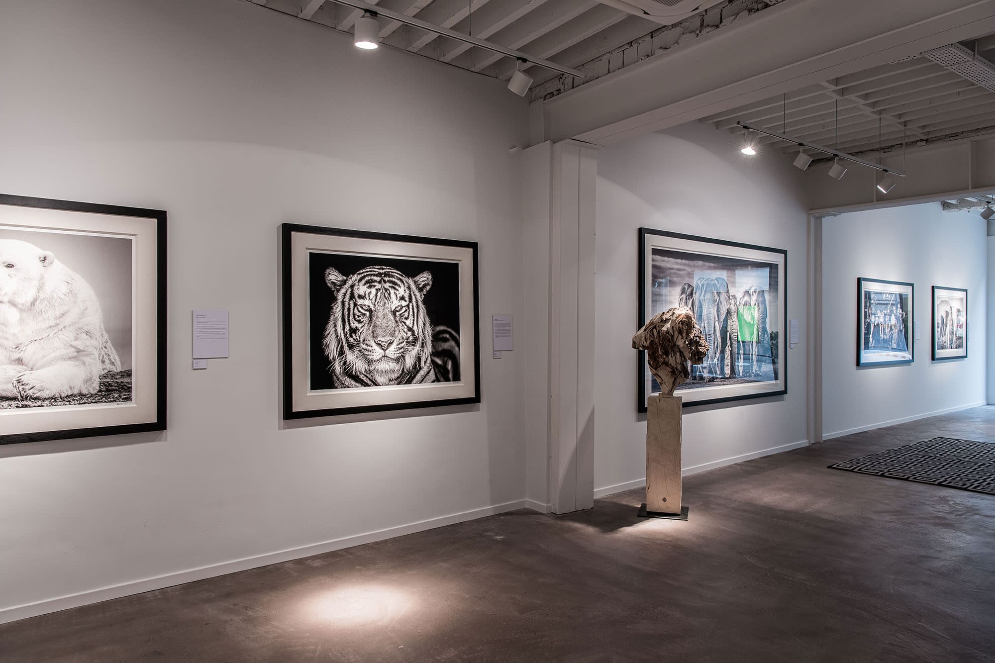 DAVID YARROW: STORYTELLING