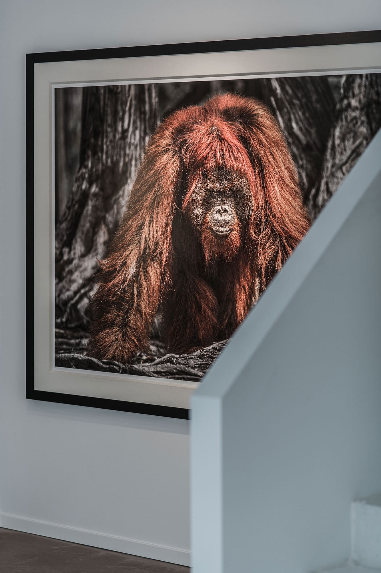 DAVID YARROW: STORYTELLING