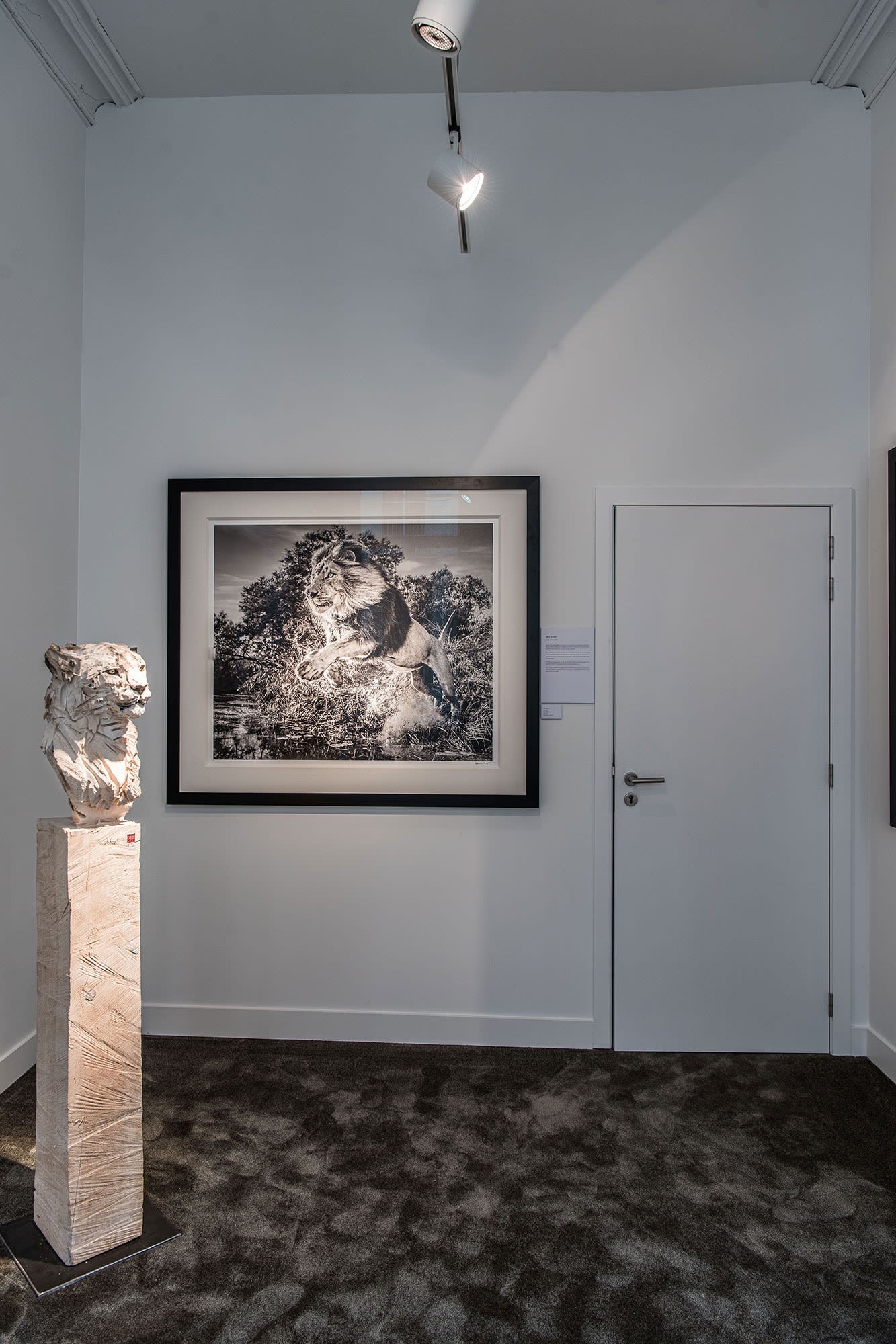 DAVID YARROW: STORYTELLING