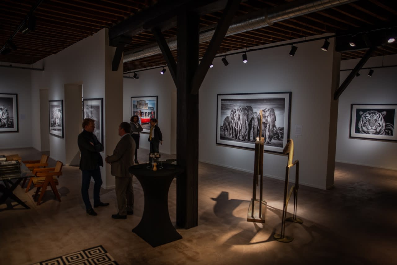 DAVID YARROW - THE WAREHOUSE GALLERY
