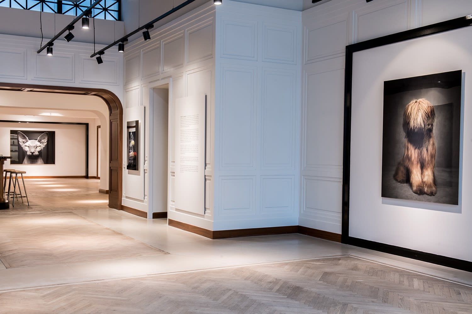 VINCENT LAGRANGE: THE HUMAN ANIMALS