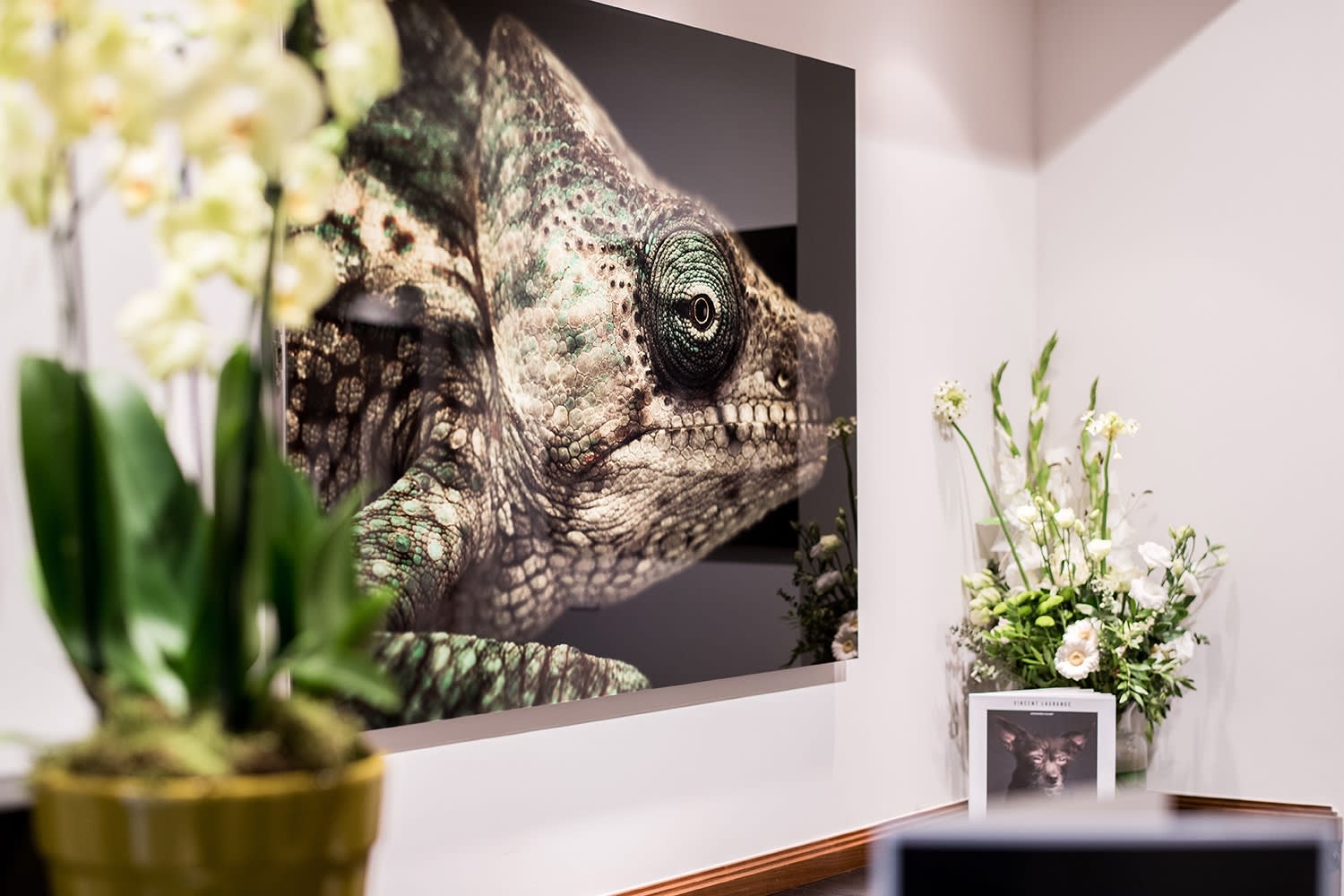 VINCENT LAGRANGE: THE HUMAN ANIMALS