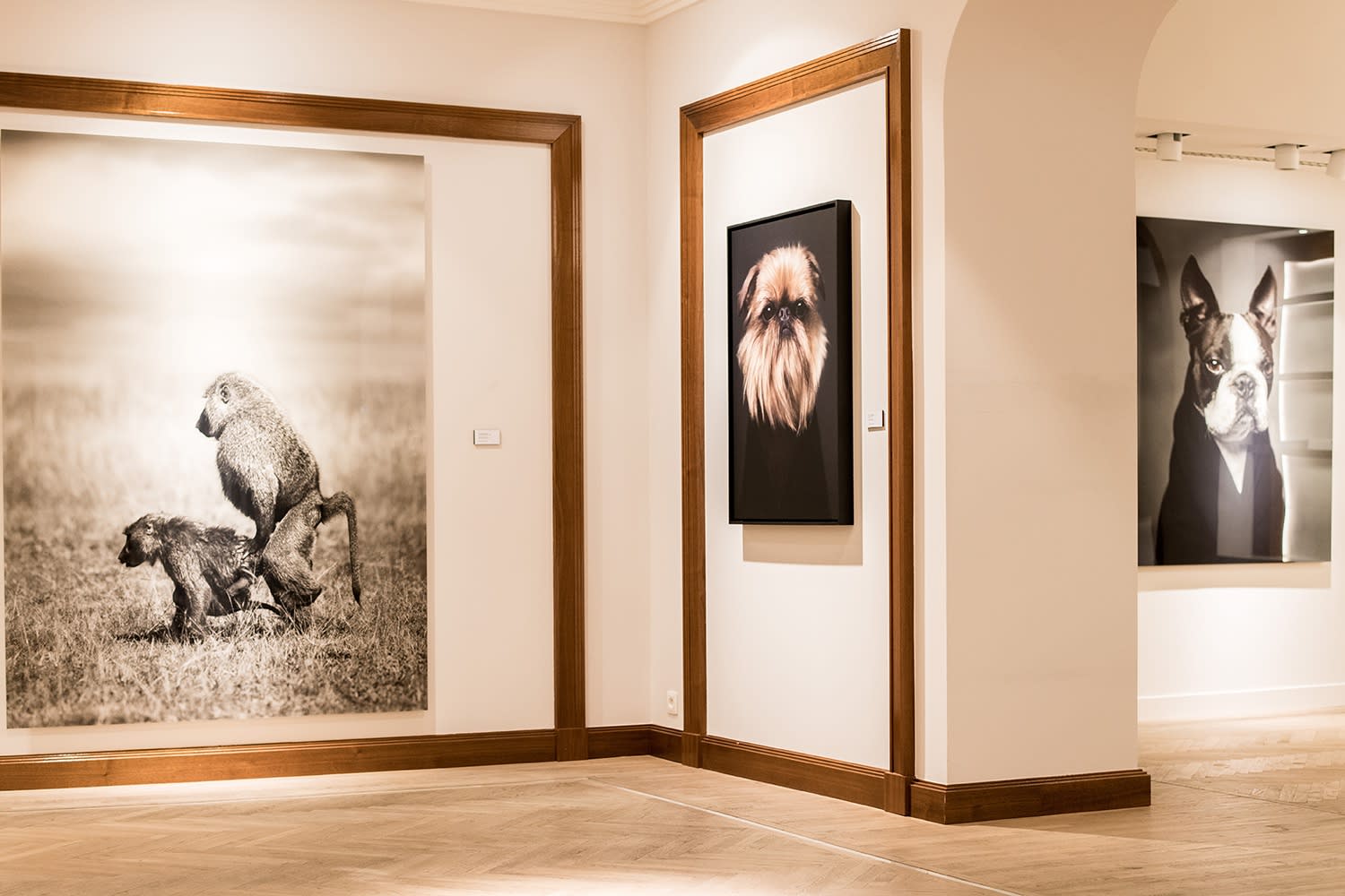 VINCENT LAGRANGE: THE HUMAN ANIMALS