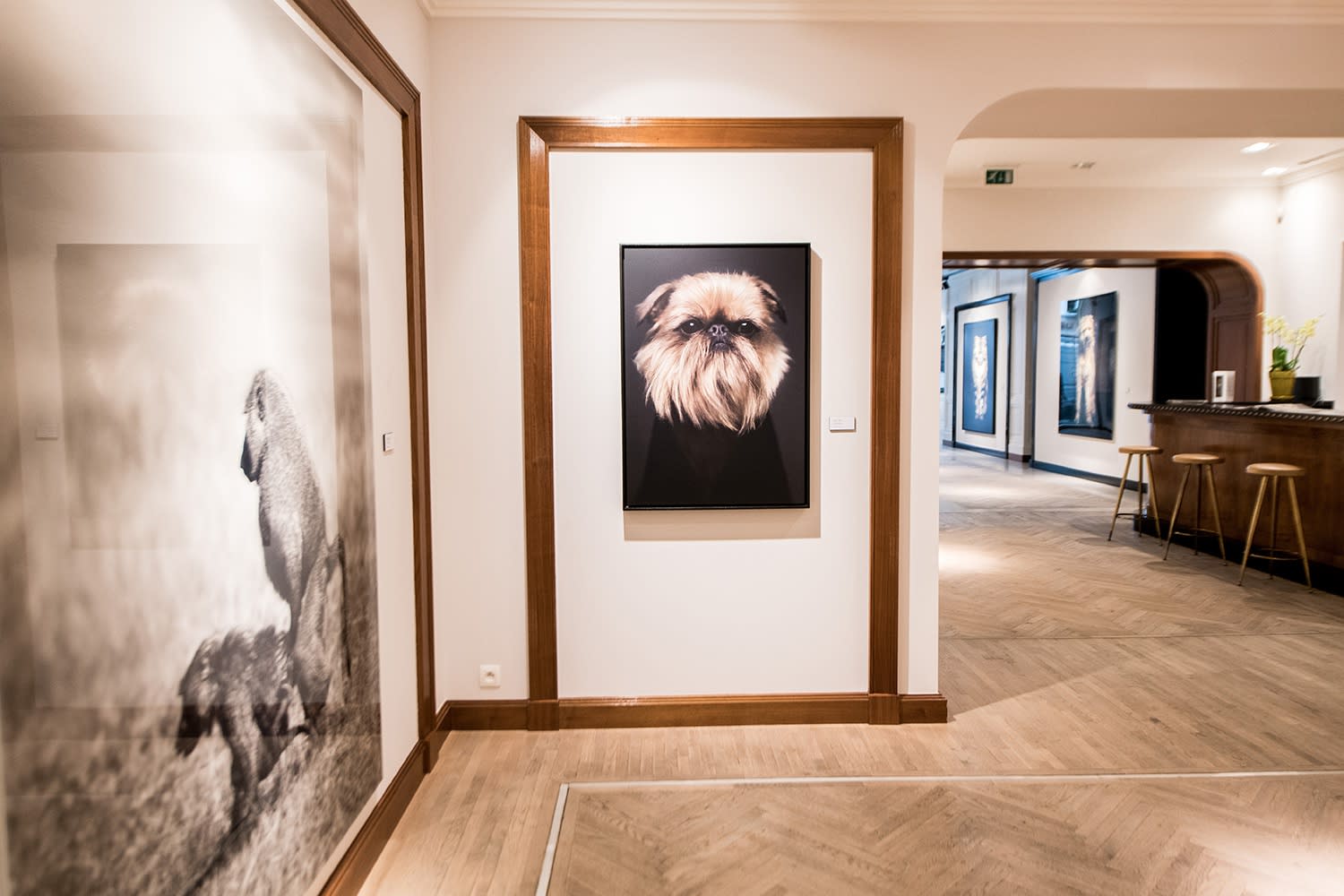 VINCENT LAGRANGE: THE HUMAN ANIMALS