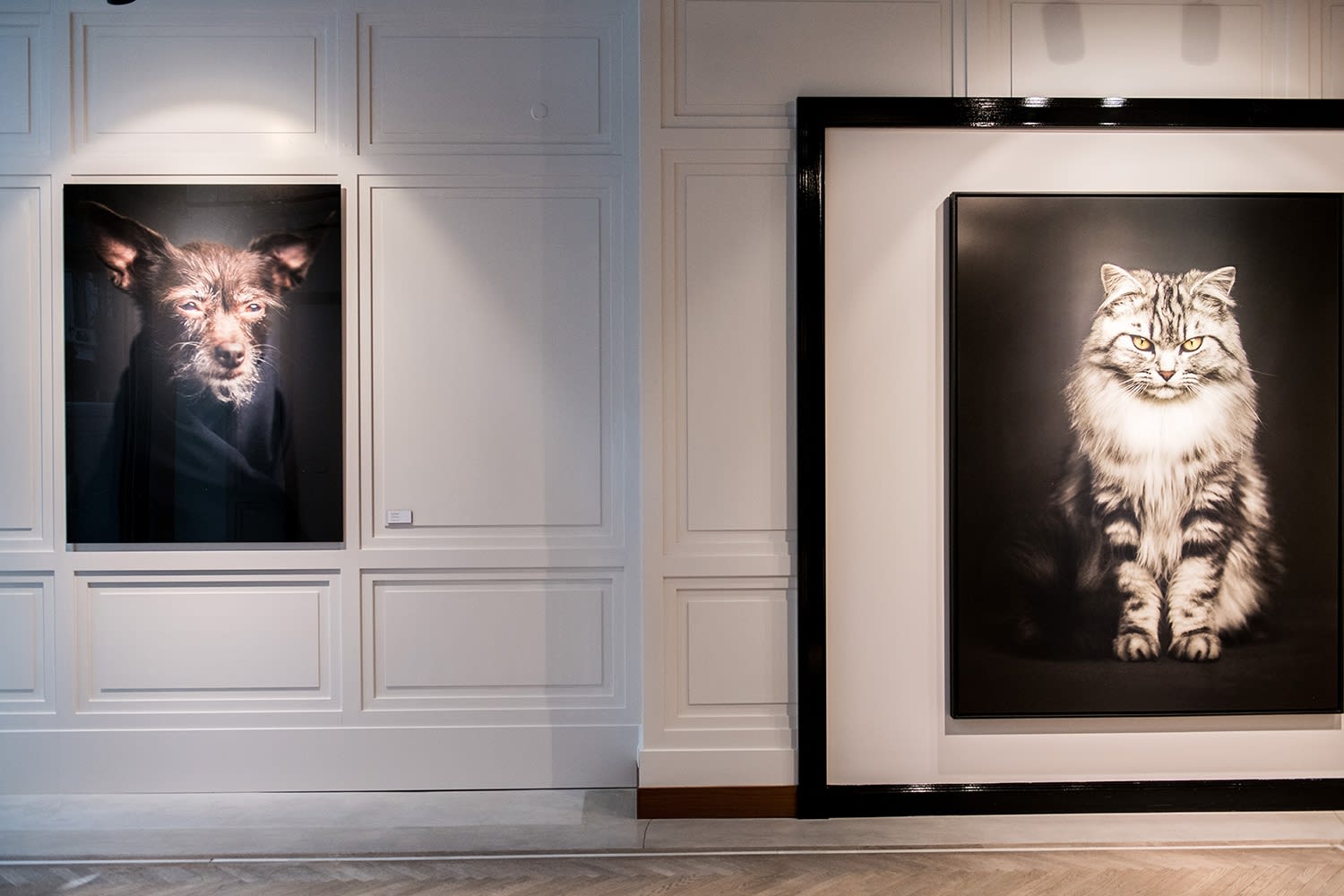 VINCENT LAGRANGE: THE HUMAN ANIMALS