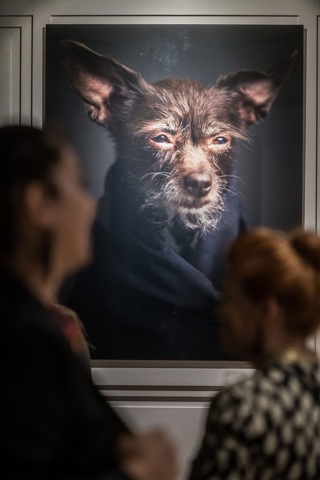 VINCENT LAGRANGE: THE HUMAN ANIMALS