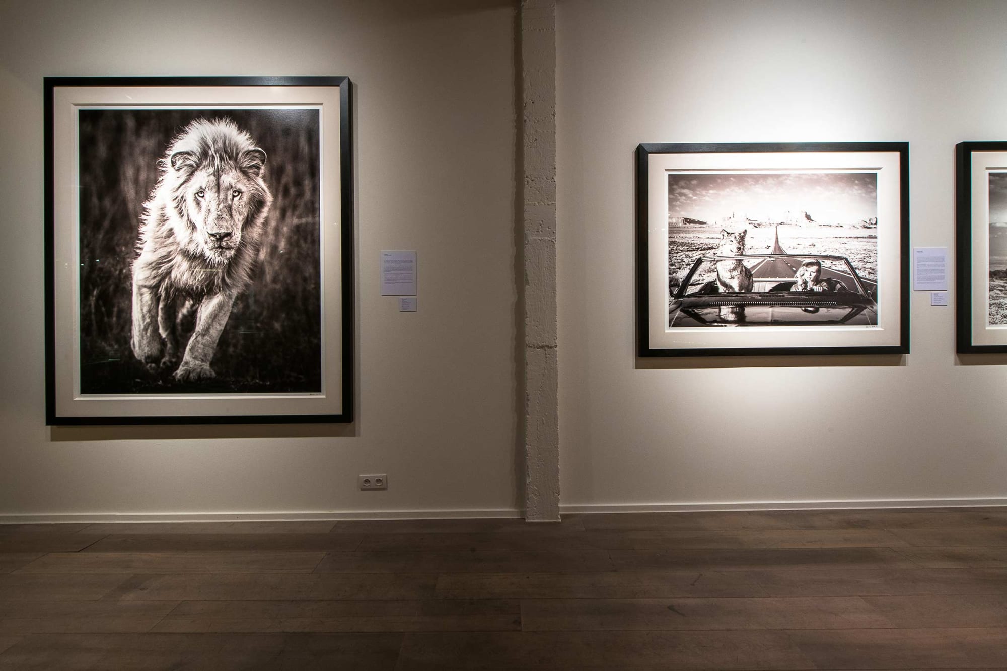 DAVID YARROW: IT'S FIVE O'CLOCK SOMEWHERE