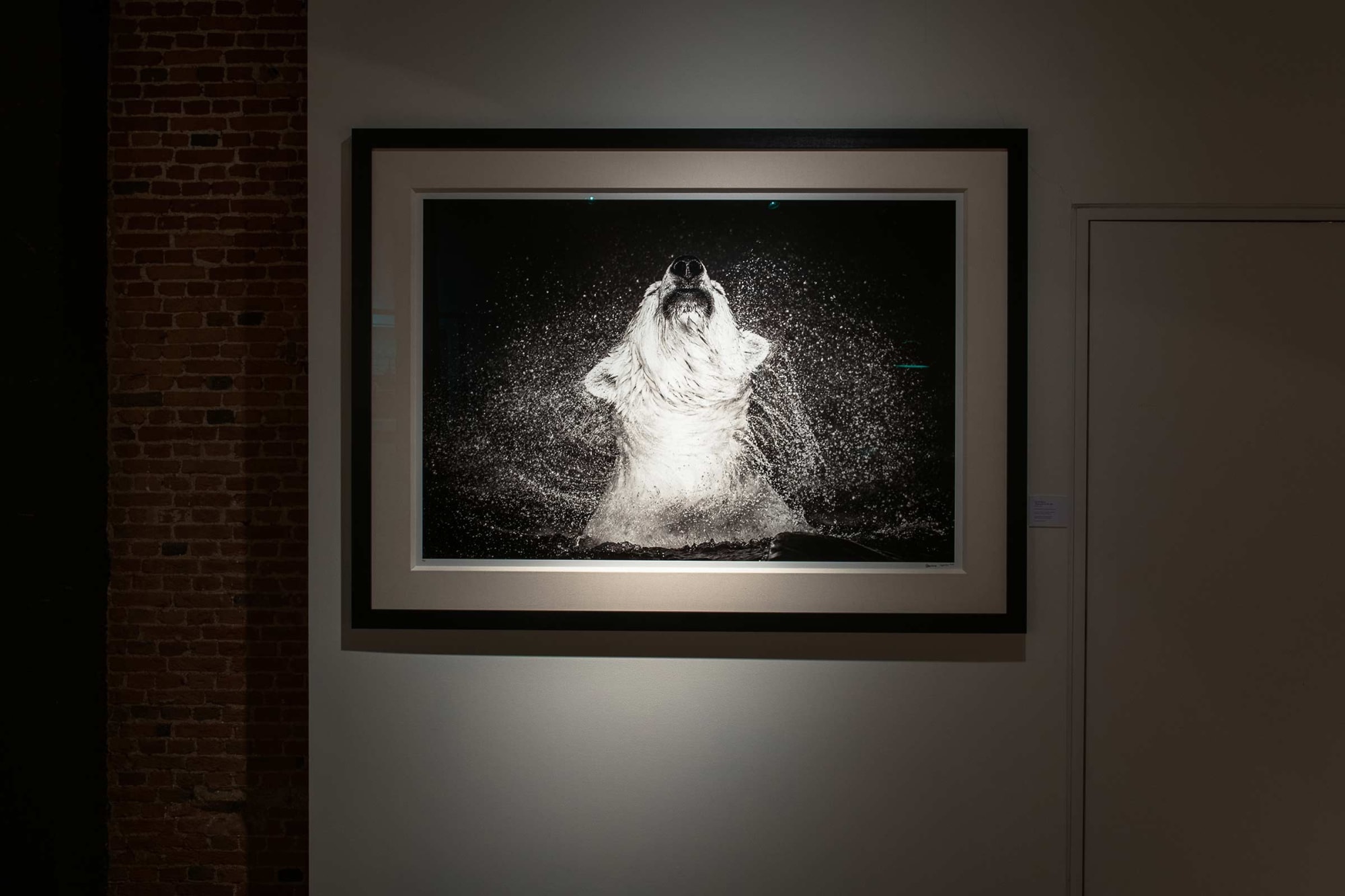 DAVID YARROW: IT'S FIVE O'CLOCK SOMEWHERE