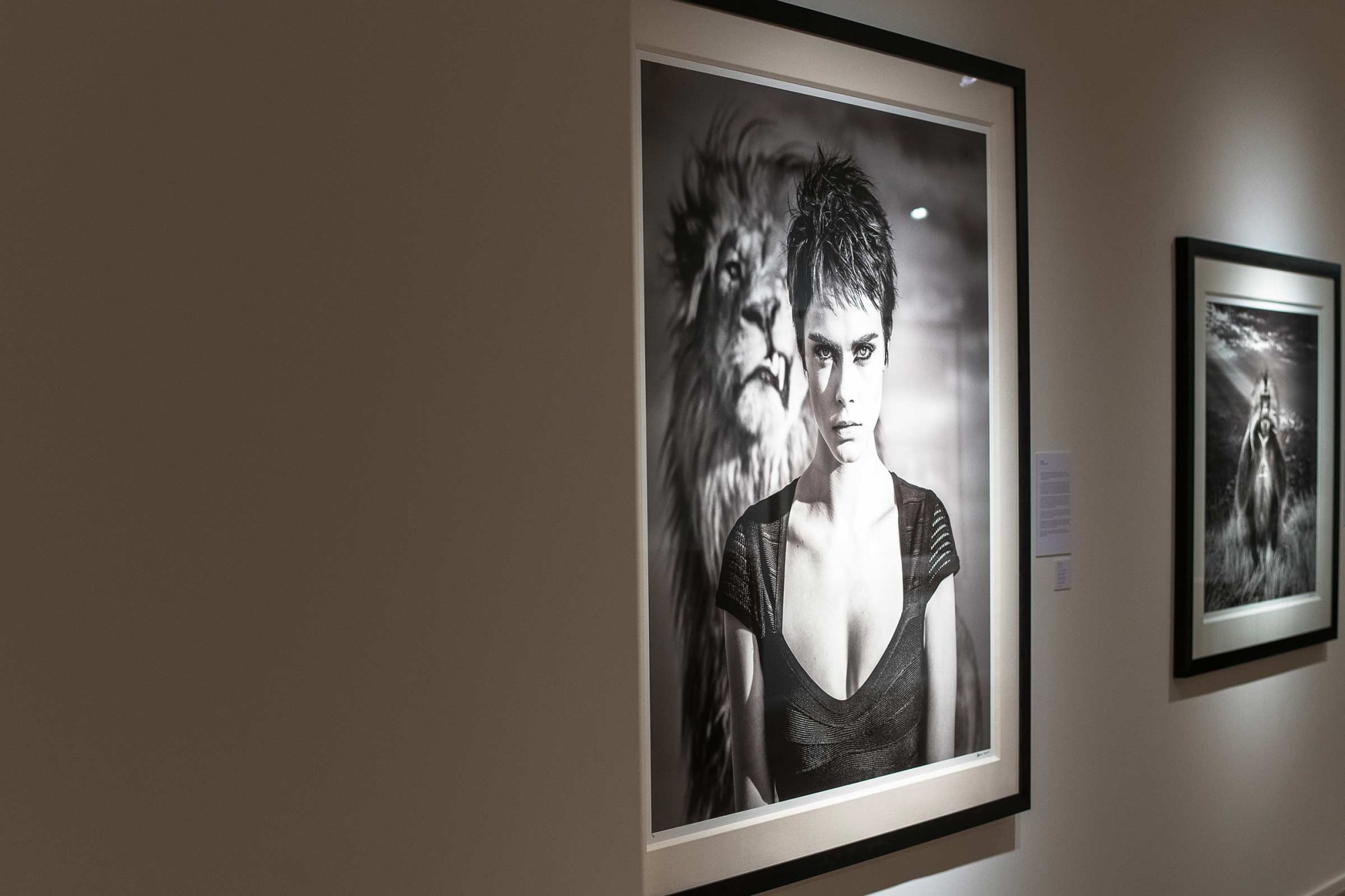 DAVID YARROW: IT'S FIVE O'CLOCK SOMEWHERE