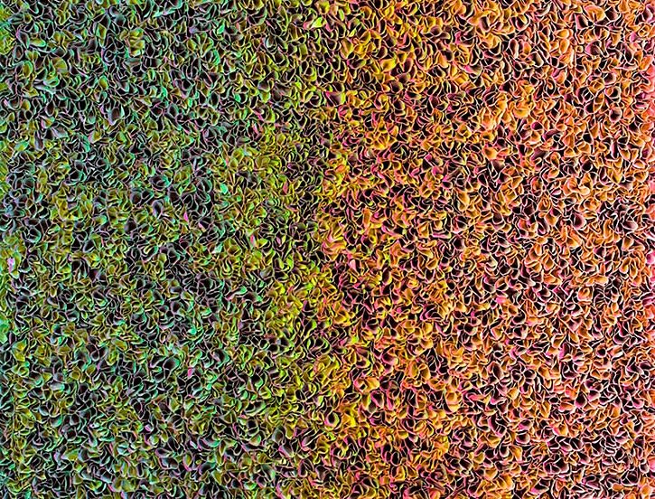 SUMMER EXHIBITION 2018