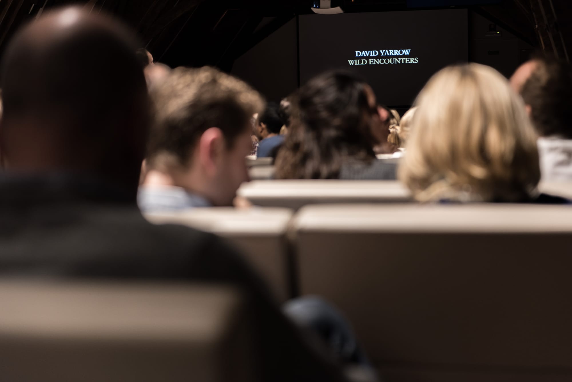 DAVID YARROW: WILD ENCOUNTERS