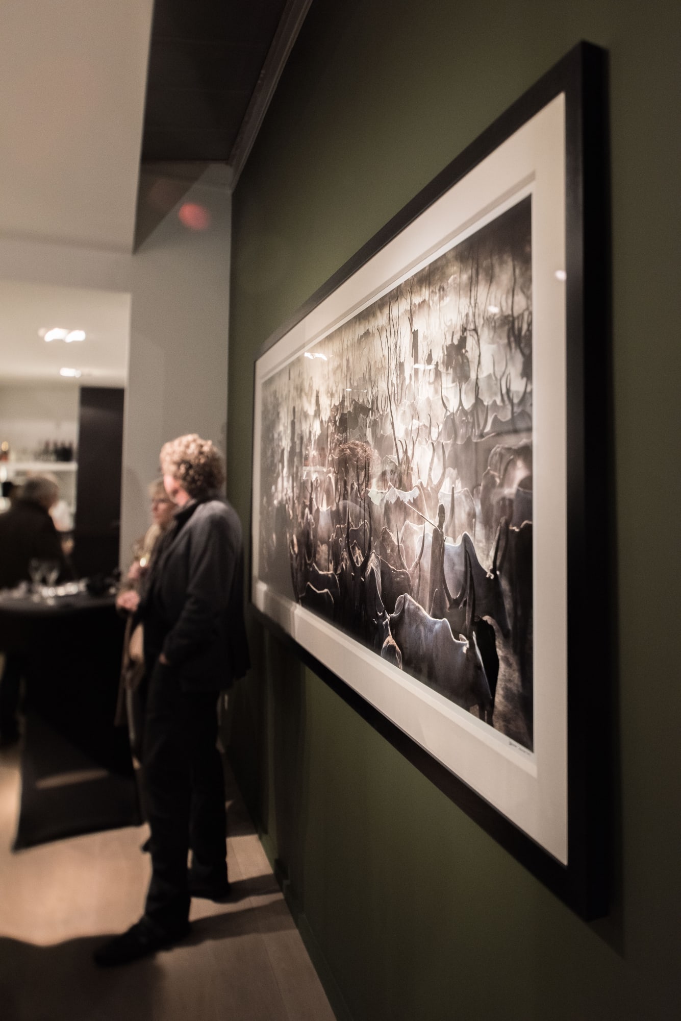 DAVID YARROW: WILD ENCOUNTERS