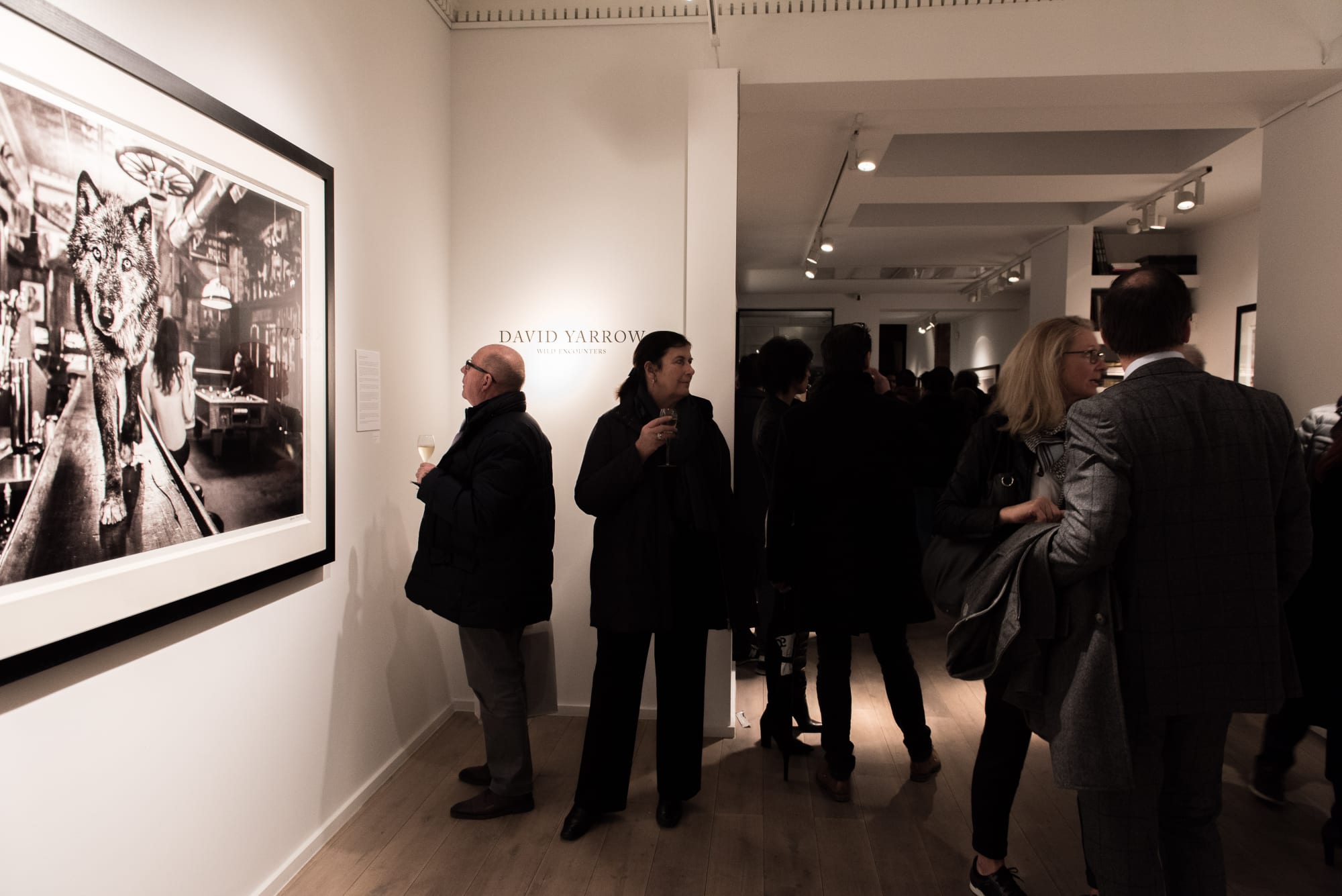 DAVID YARROW: WILD ENCOUNTERS