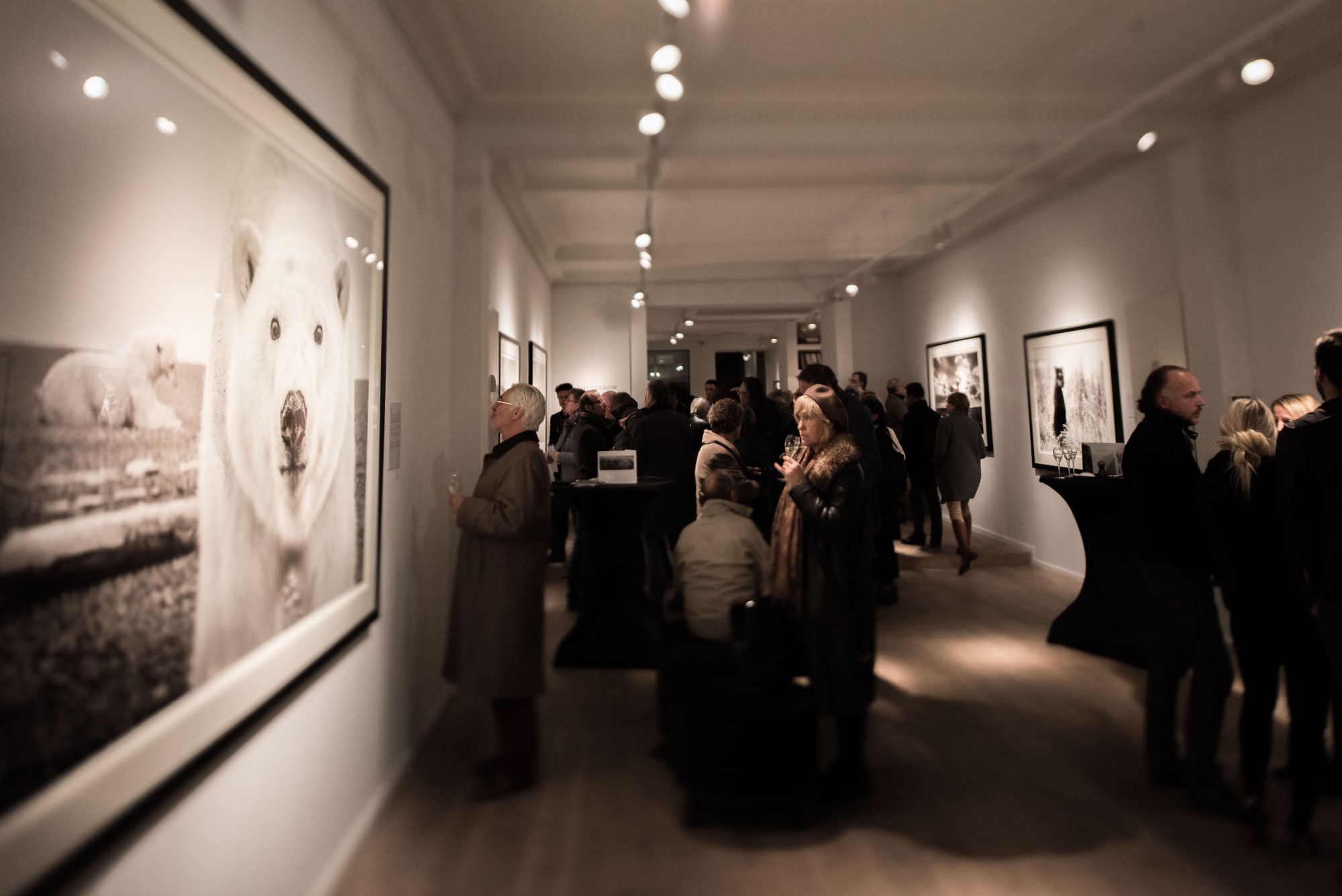 DAVID YARROW: WILD ENCOUNTERS