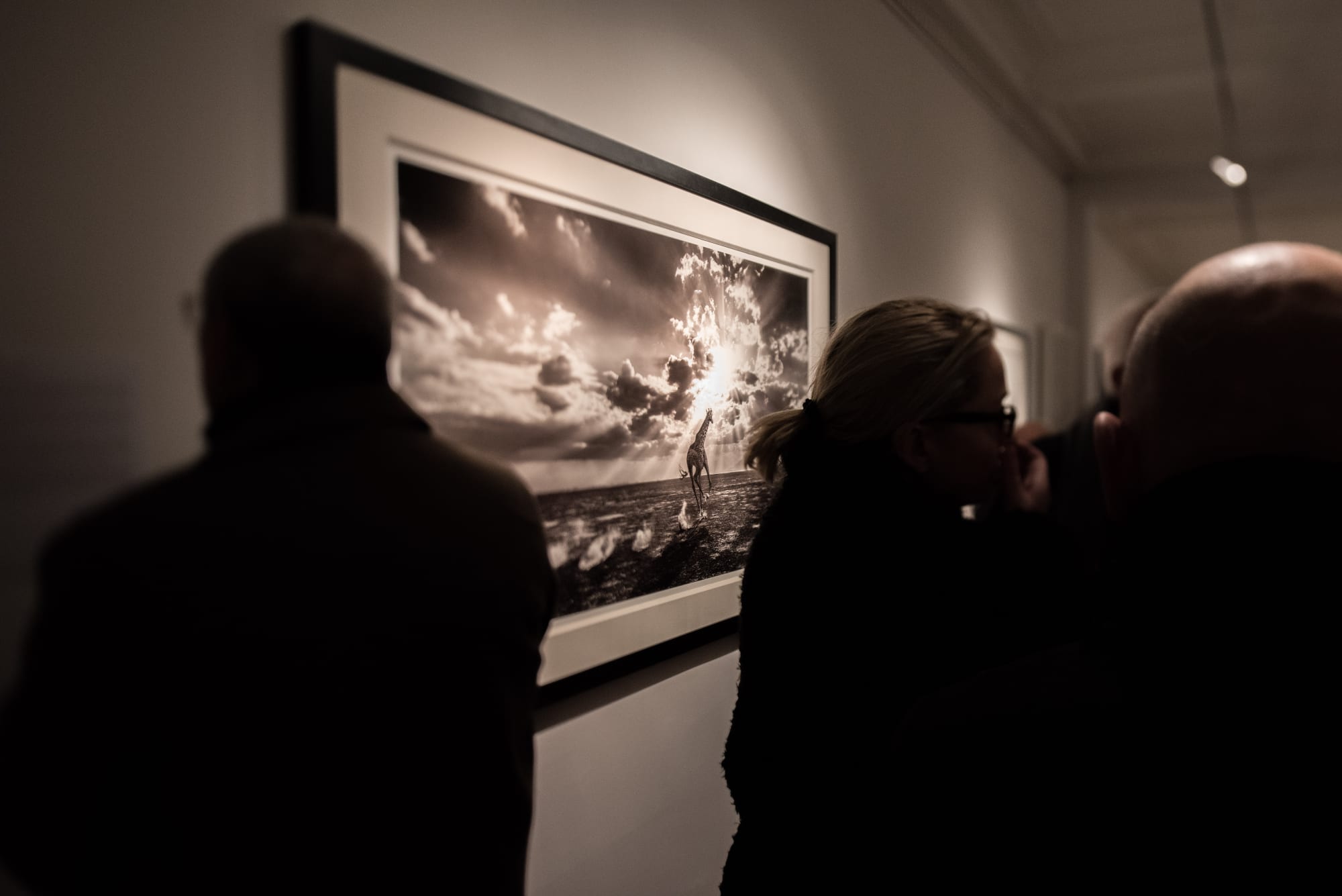 DAVID YARROW: WILD ENCOUNTERS