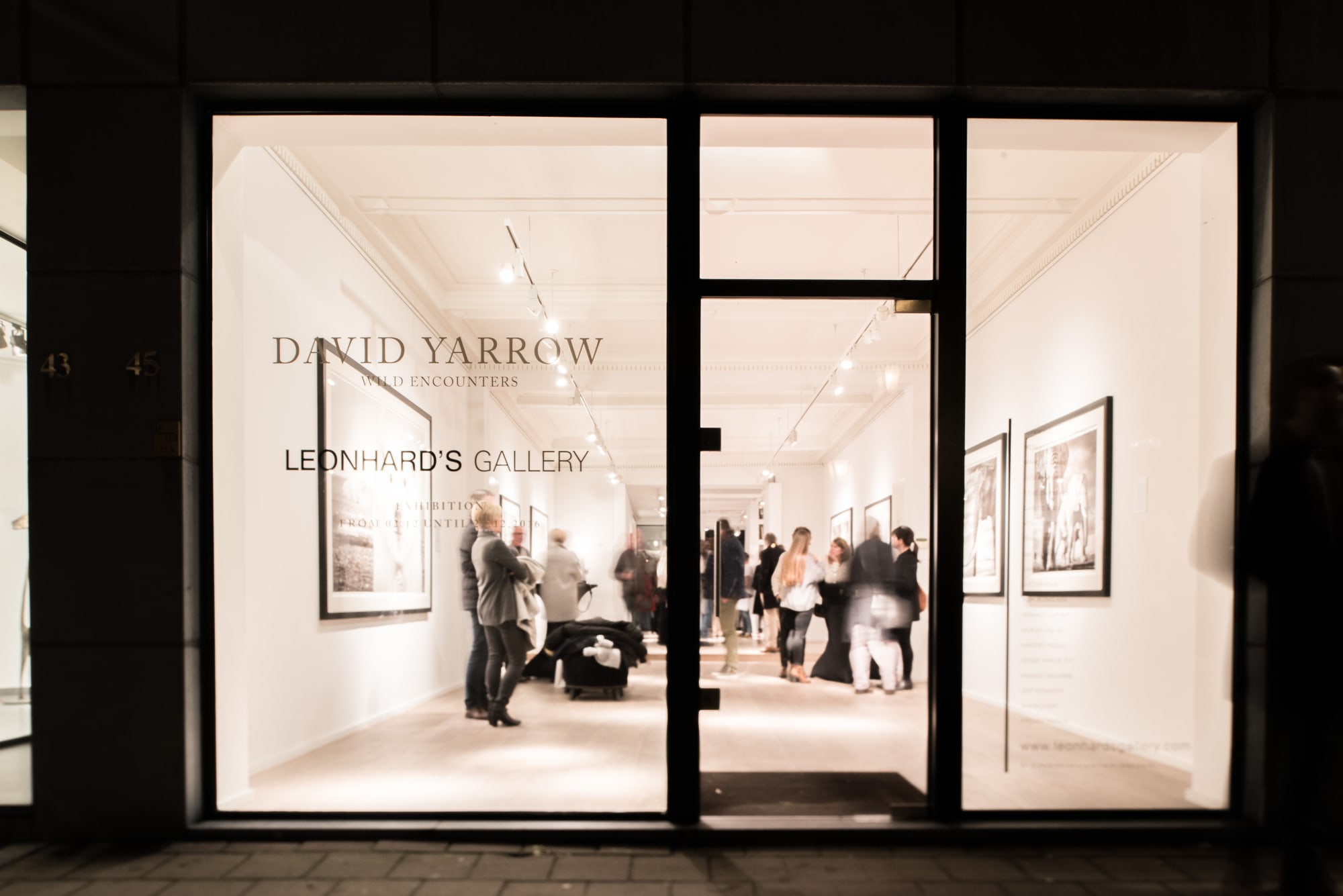 DAVID YARROW: WILD ENCOUNTERS