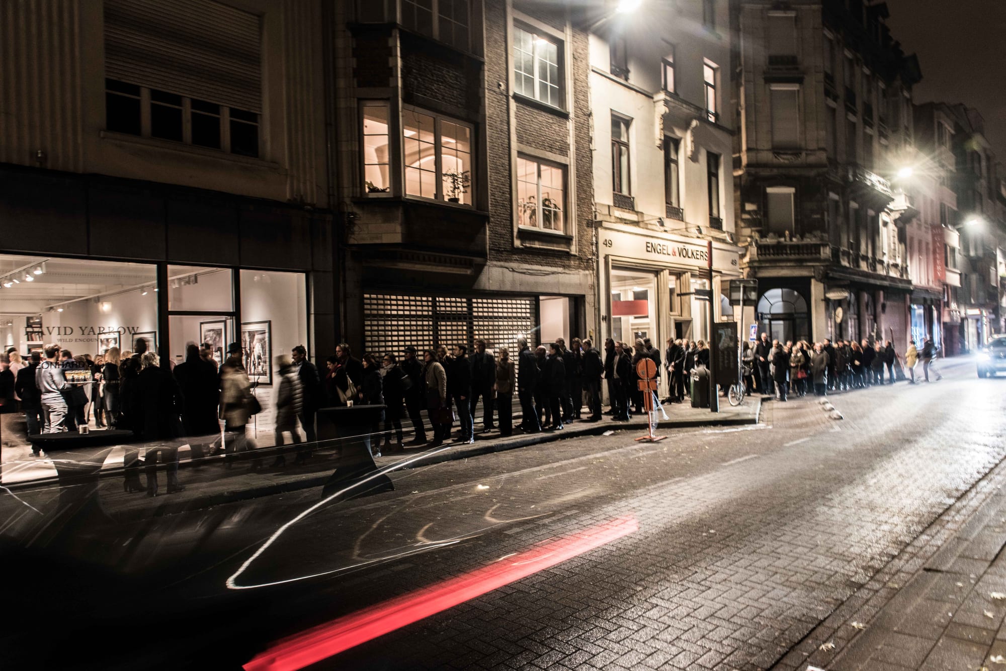 DAVID YARROW: WILD ENCOUNTERS