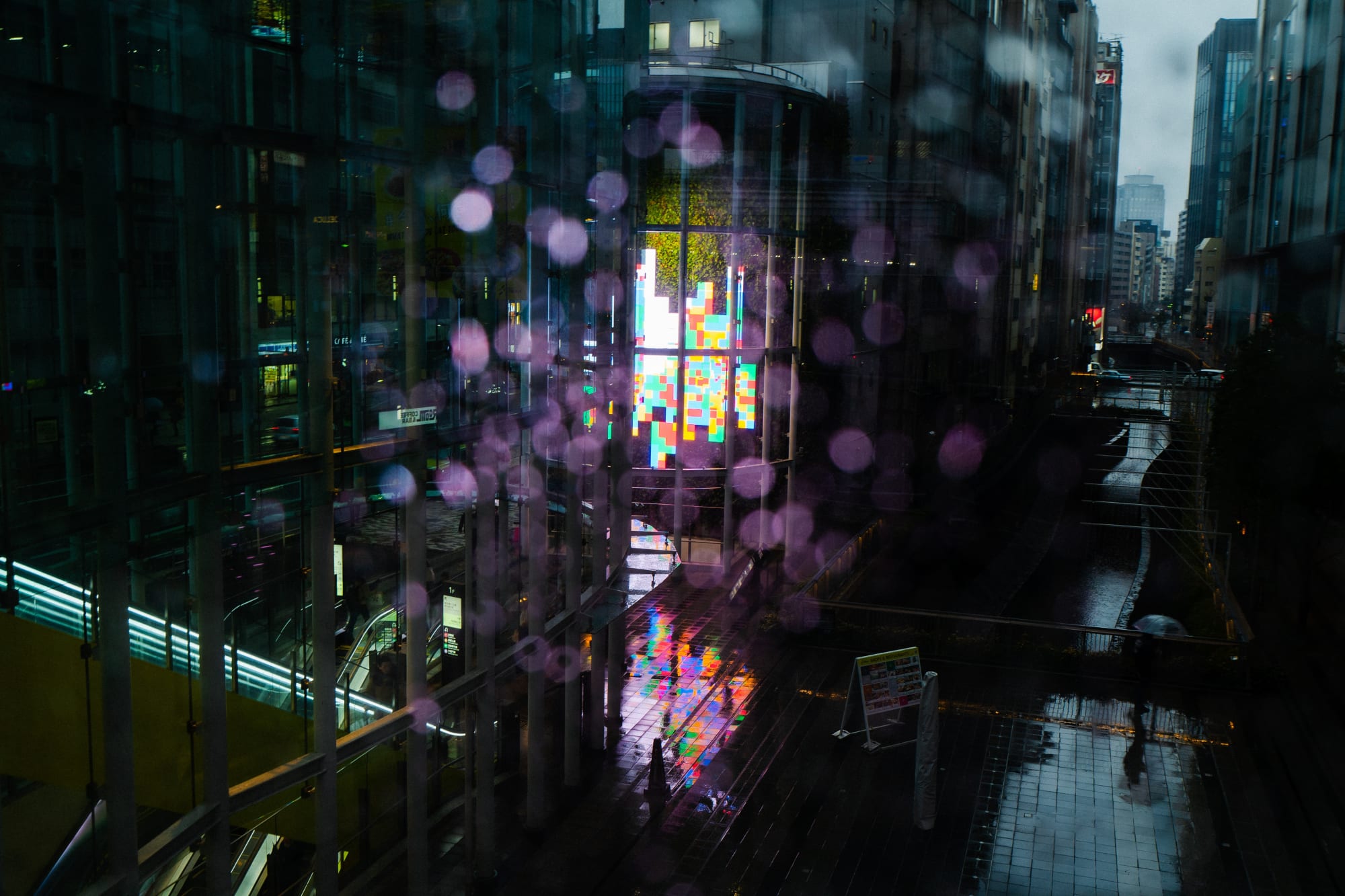 Kitamura Camera Solo Exhibition