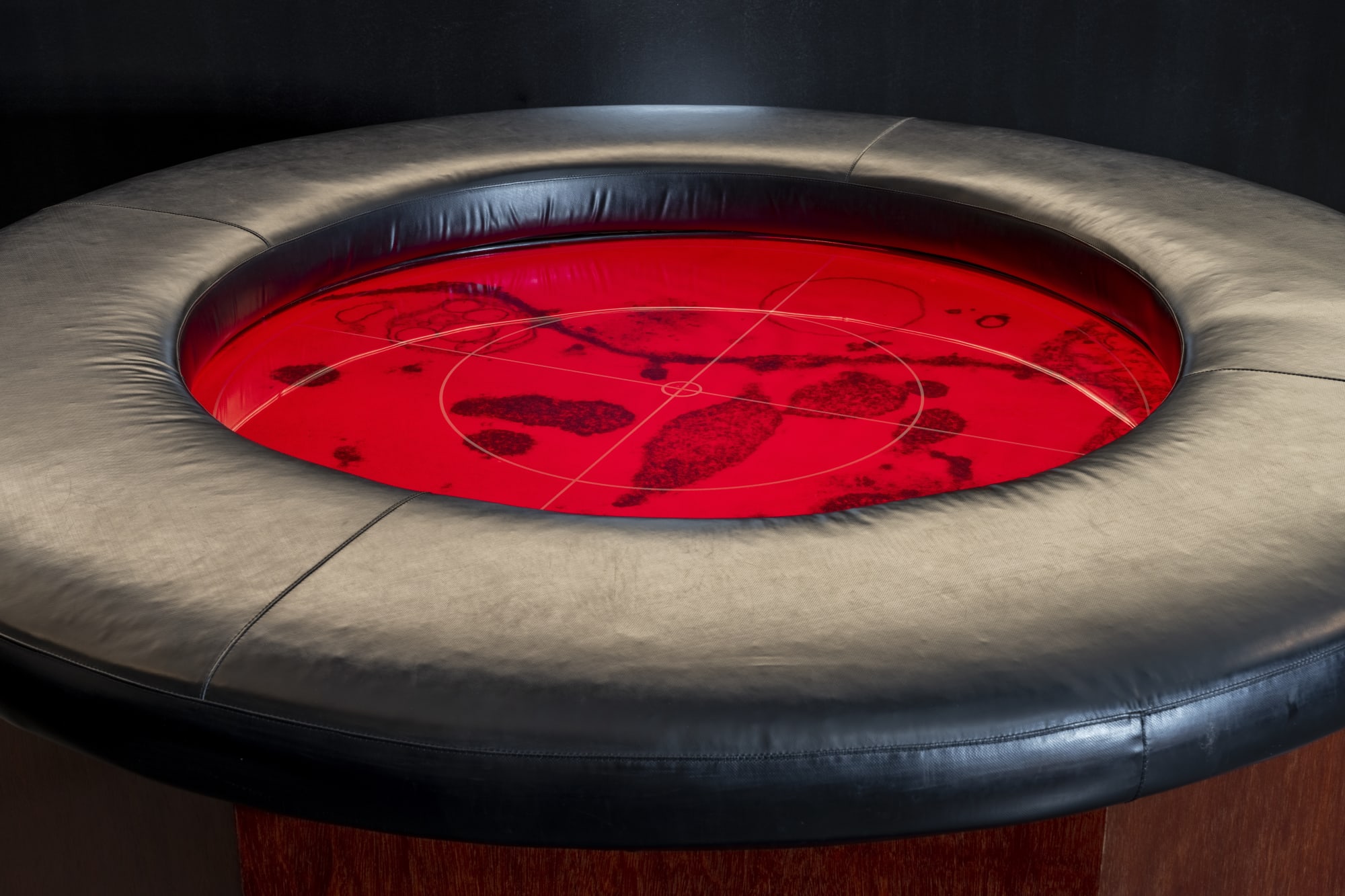 Photo by David Stjernholm