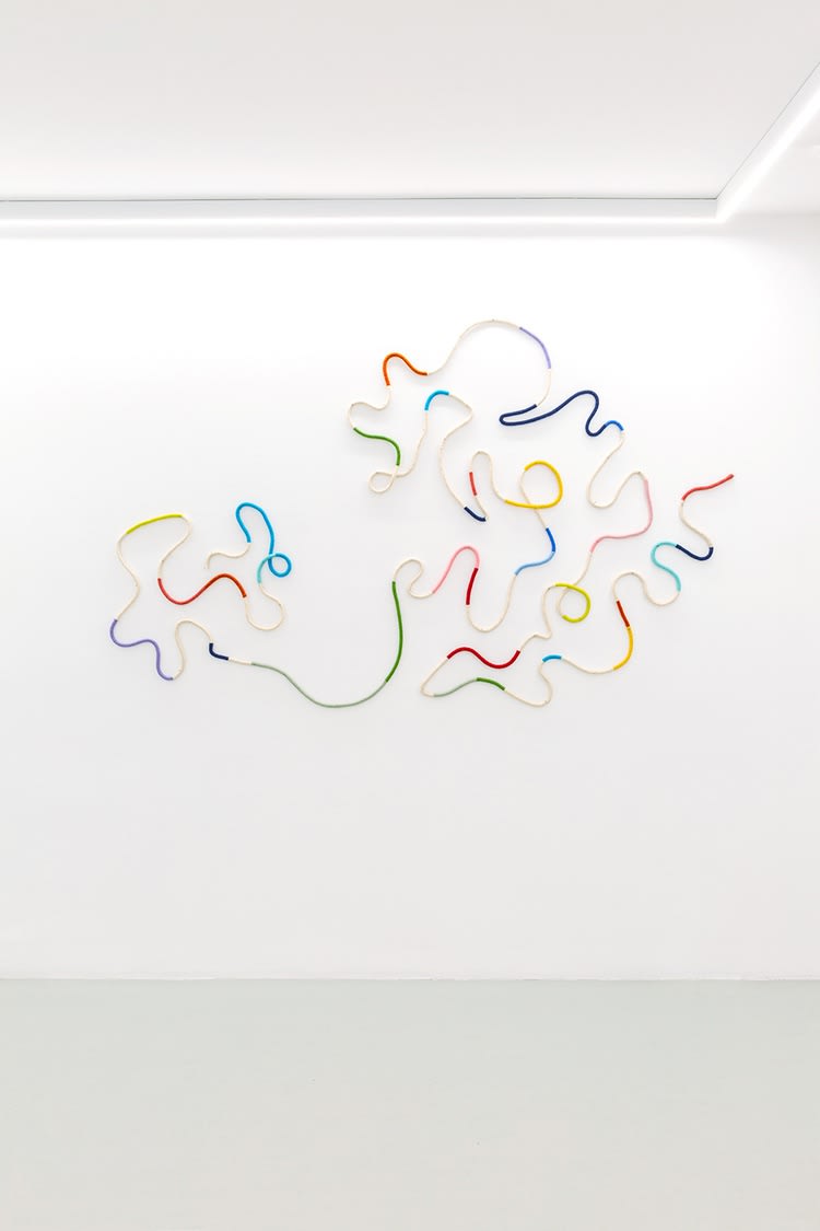 Emilija Radojicic, Phototropic II, 2020/24 Rope and Serbian wool Dimensions variable