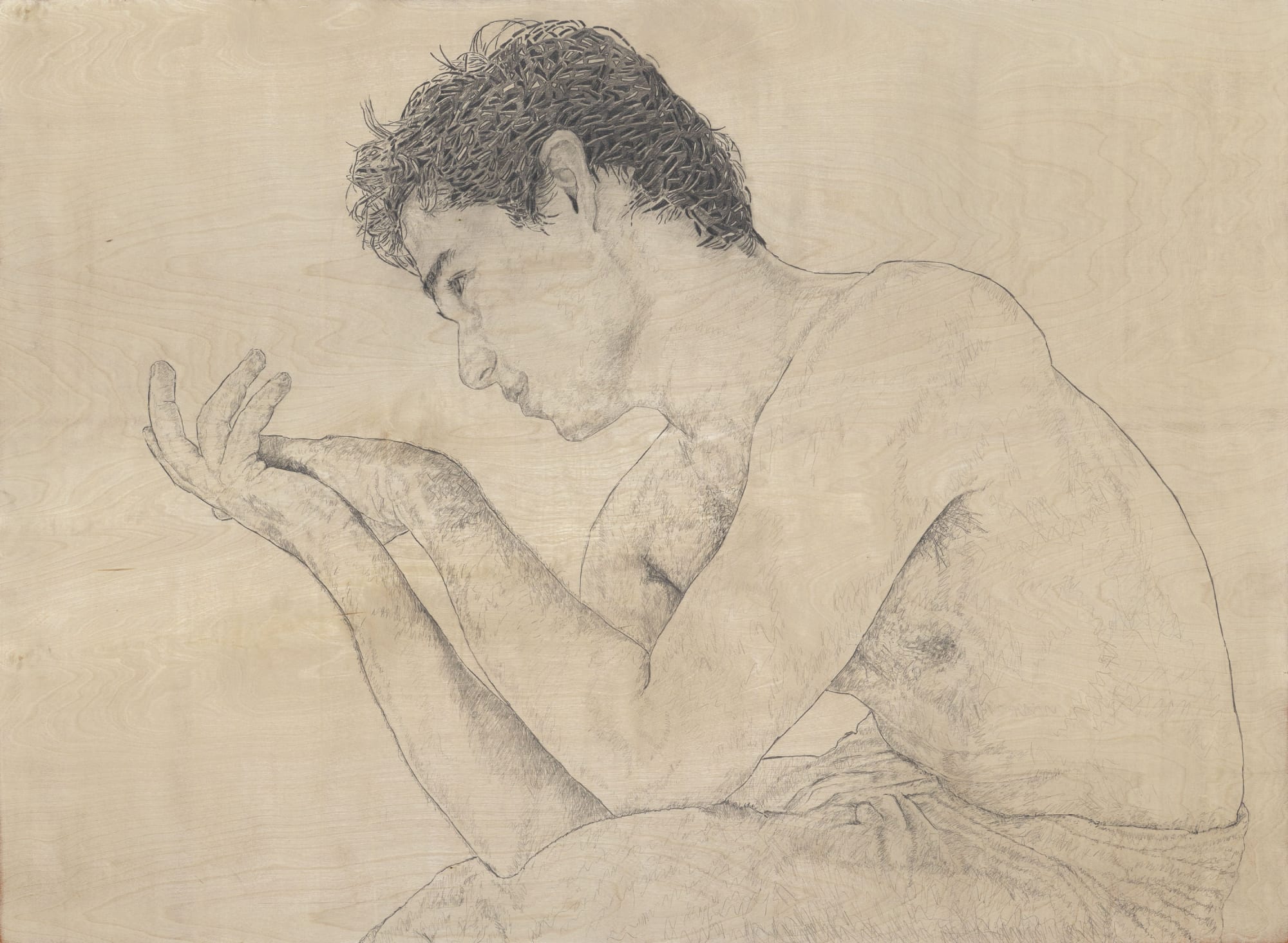 Alex Hank. Several Flames