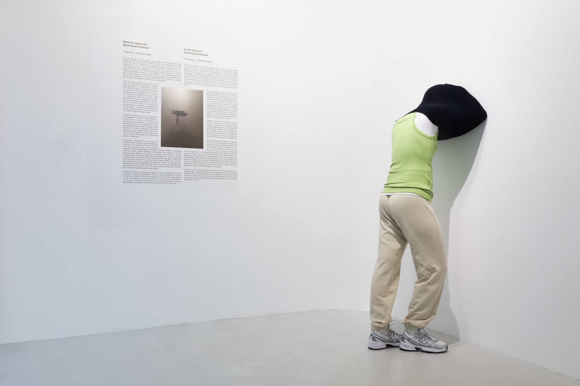 In the Gaze of Dominique & Daniel