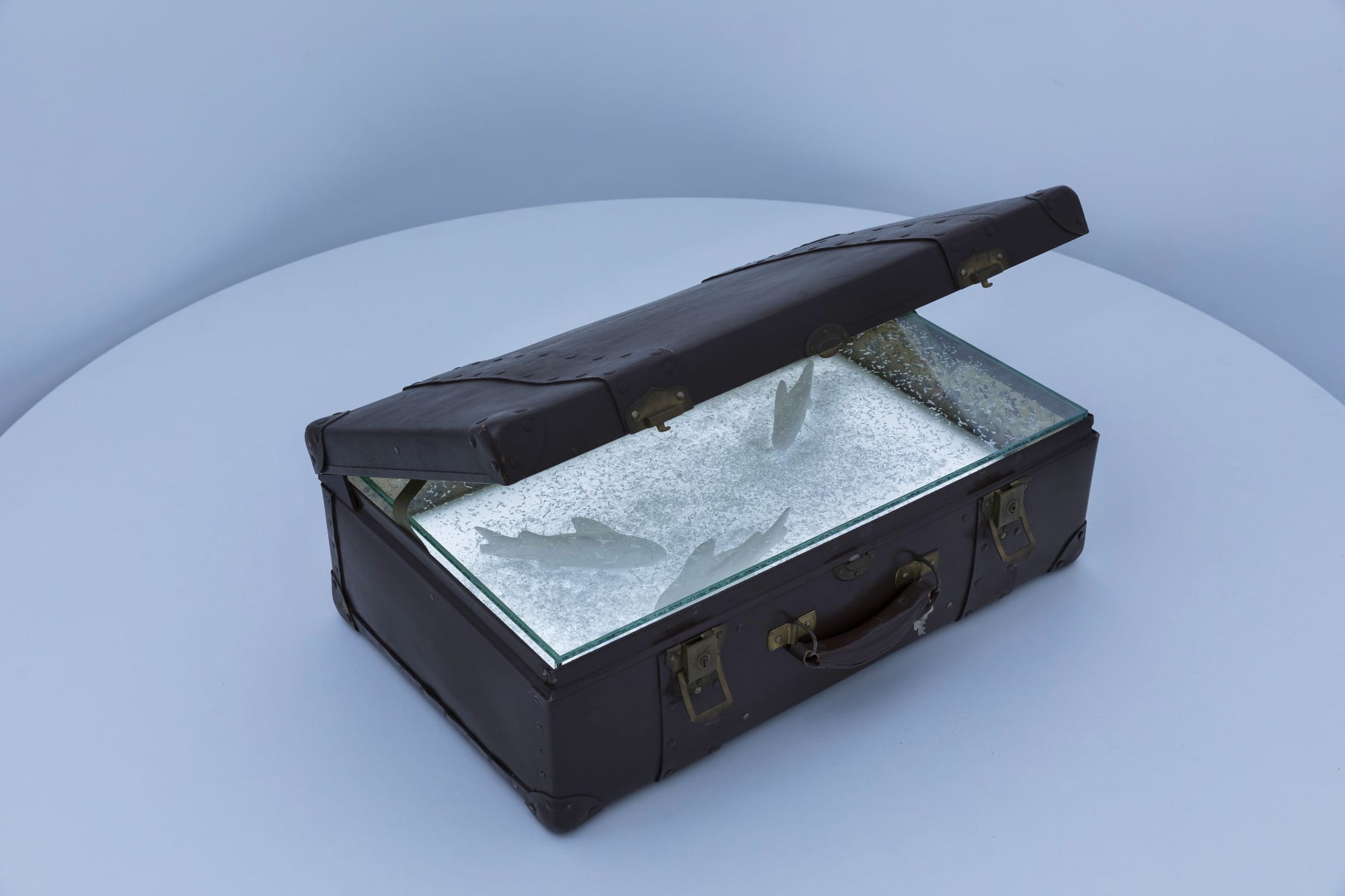 1900-2025: breath of light