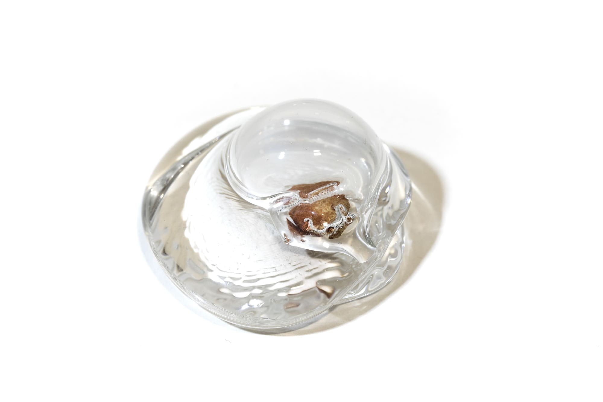 1900-2025: breath of light